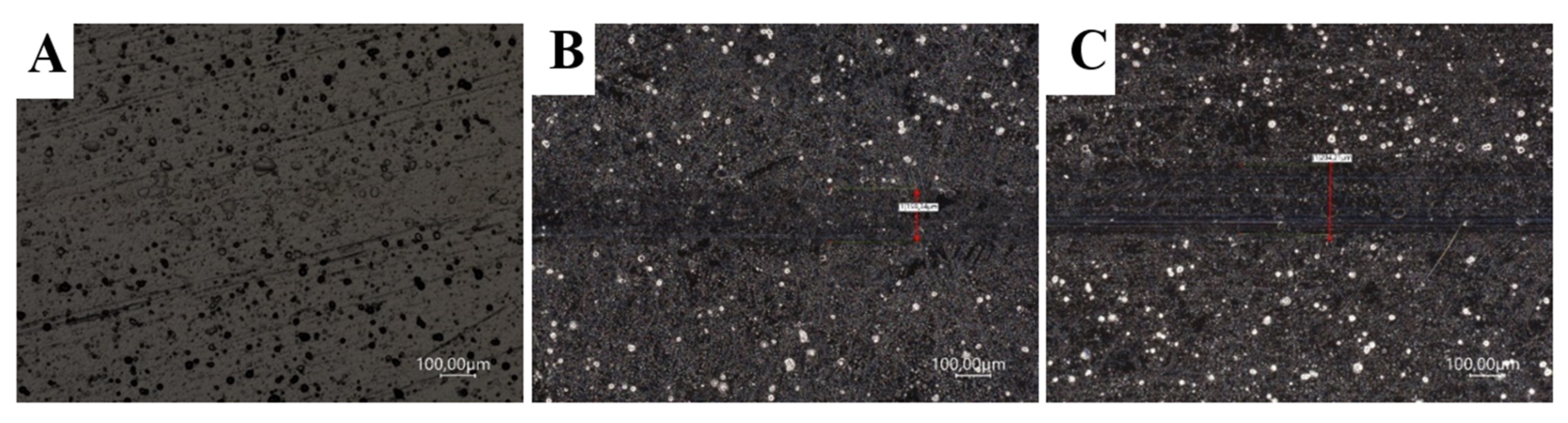 Materials 14 04487 g007