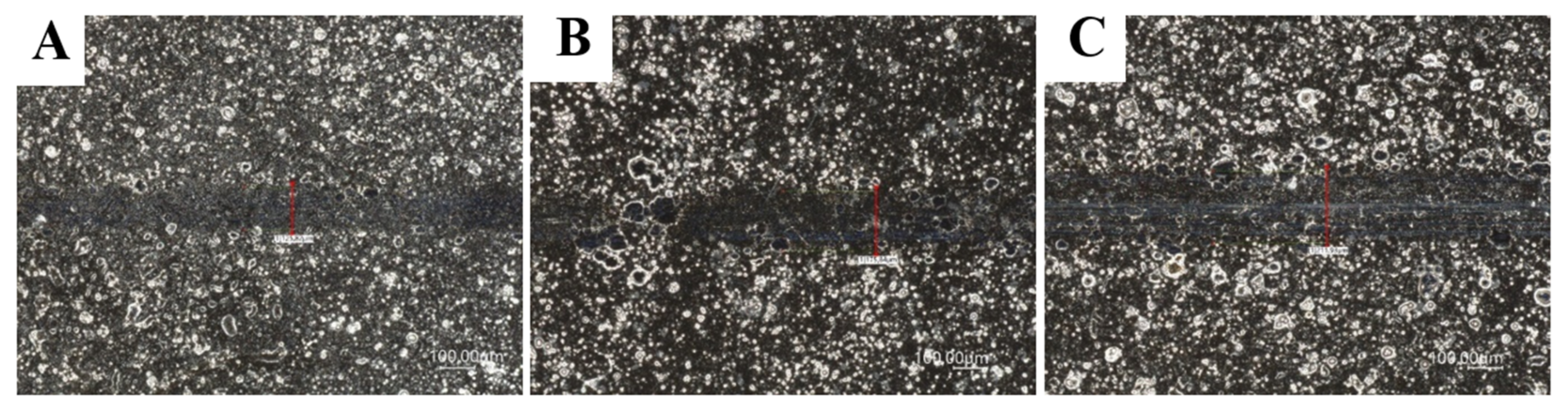 Materials 14 04487 g008