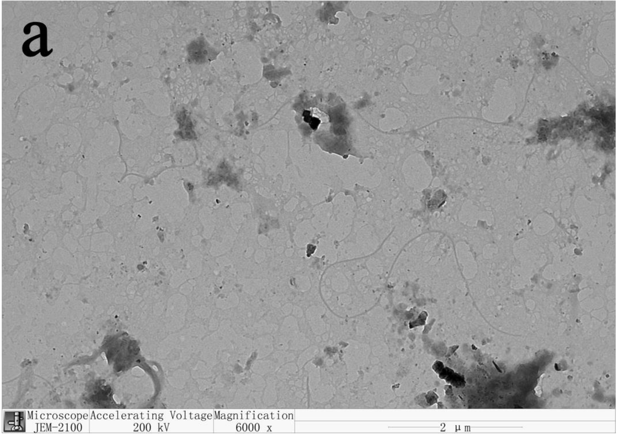 Materials 14 04557 g003a