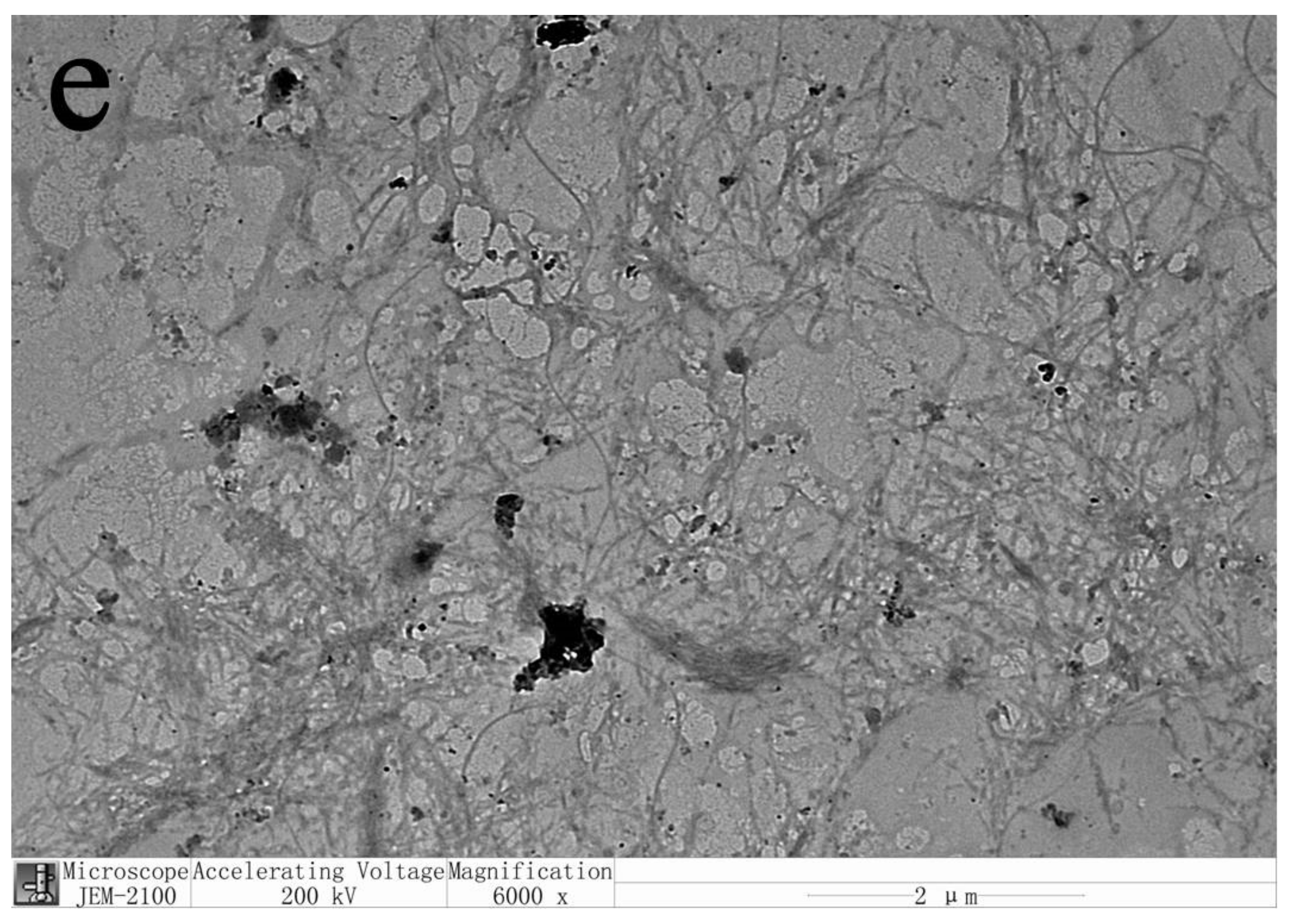 Materials 14 04557 g003c