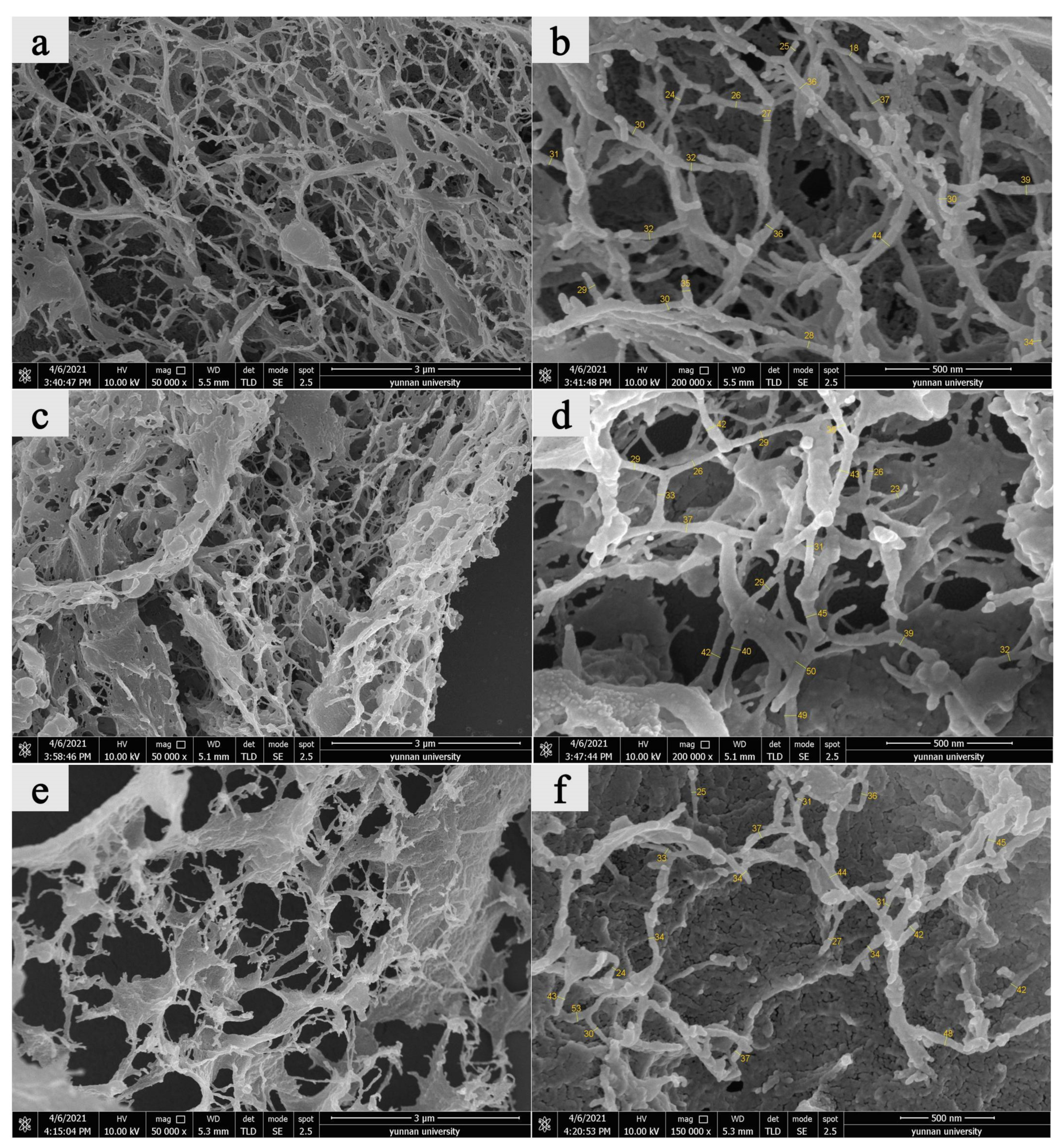 Materials 14 04557 g005
