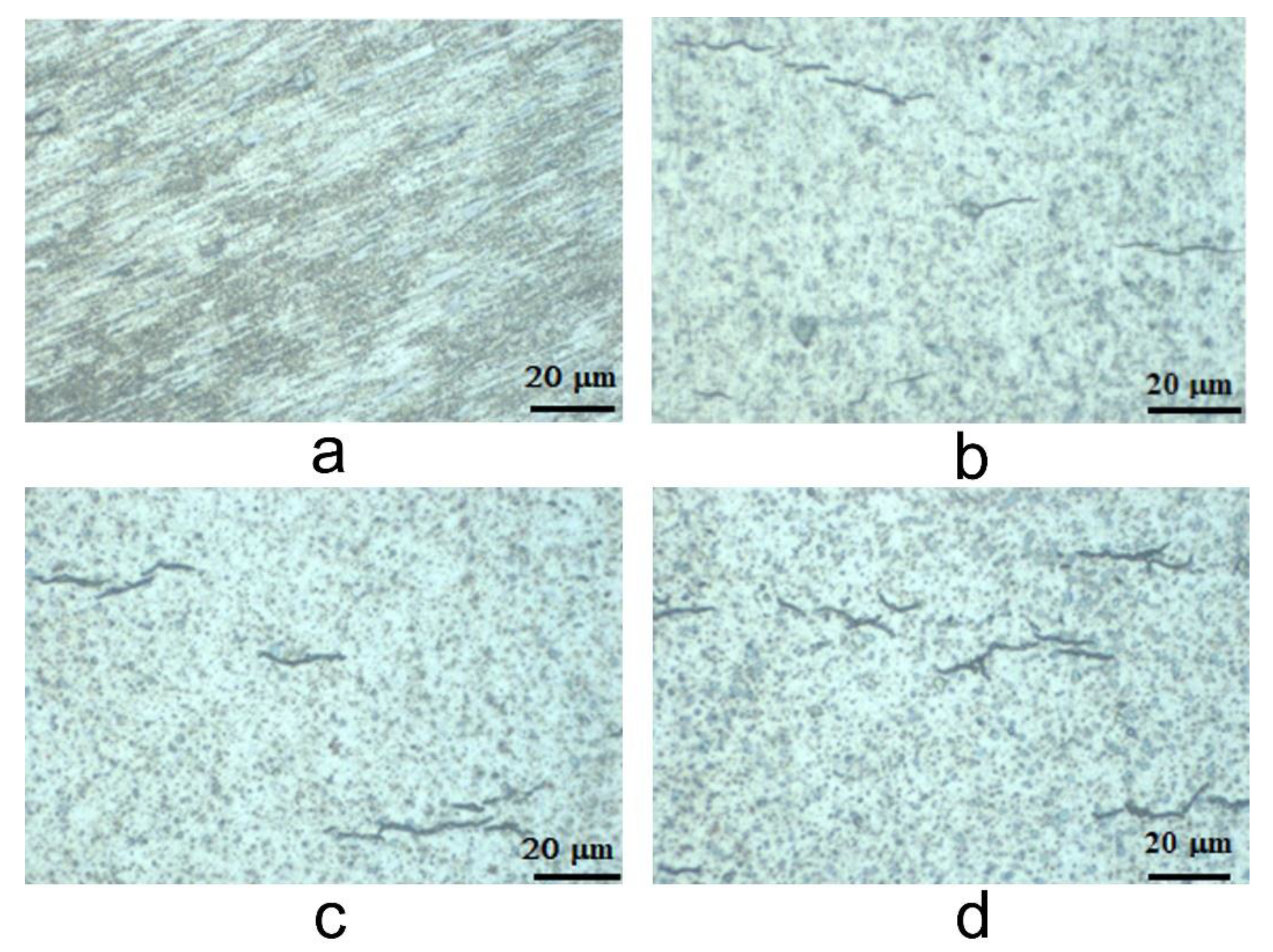 Materials 14 04586 g003