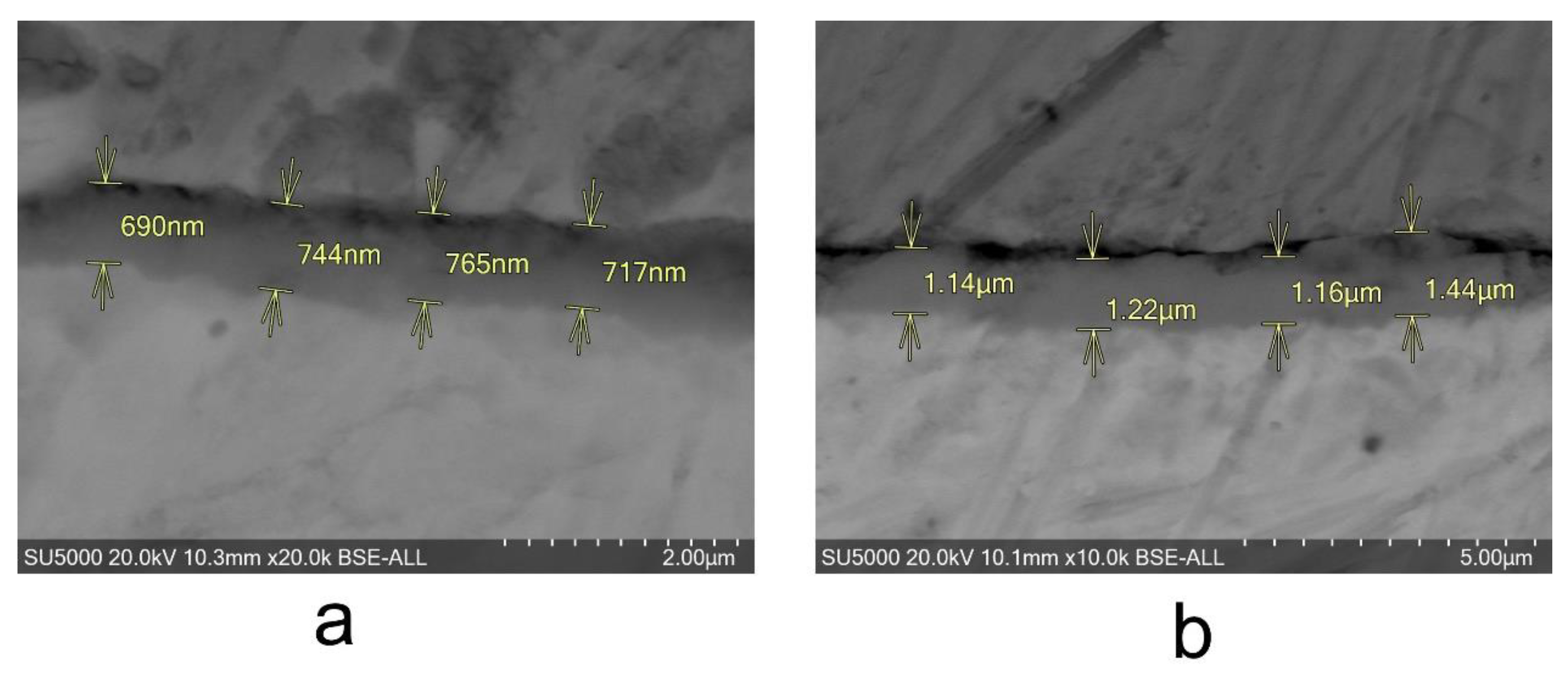 Materials 14 04586 g005