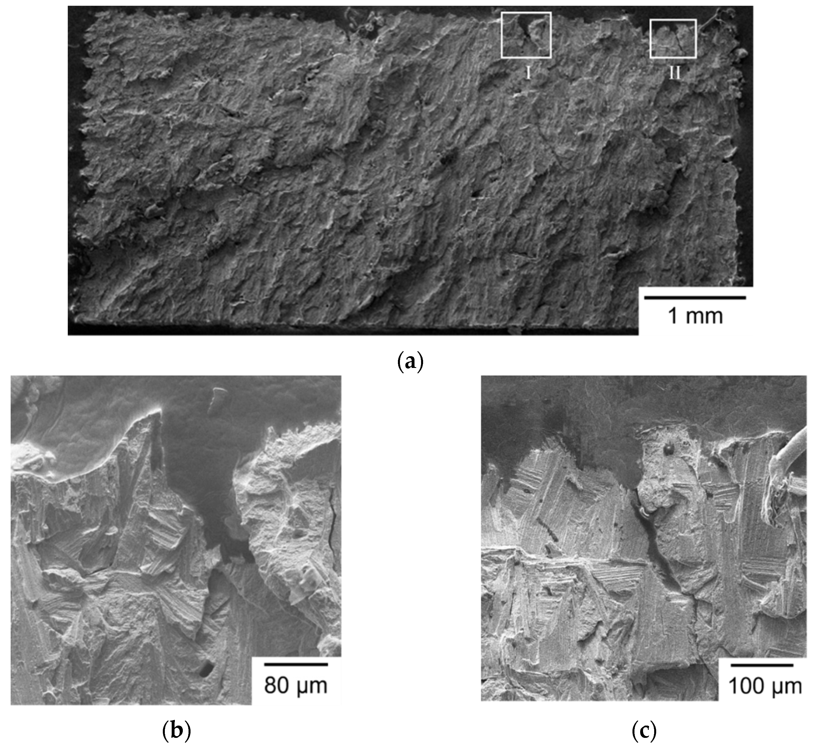 Materials 14 04593 g005