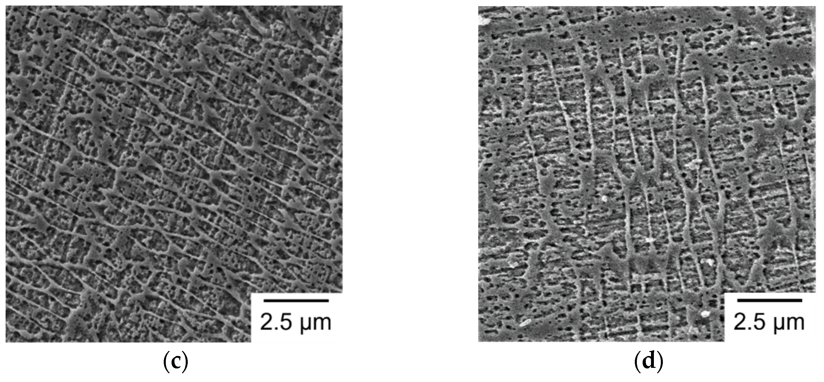 Materials 14 04593 g010b