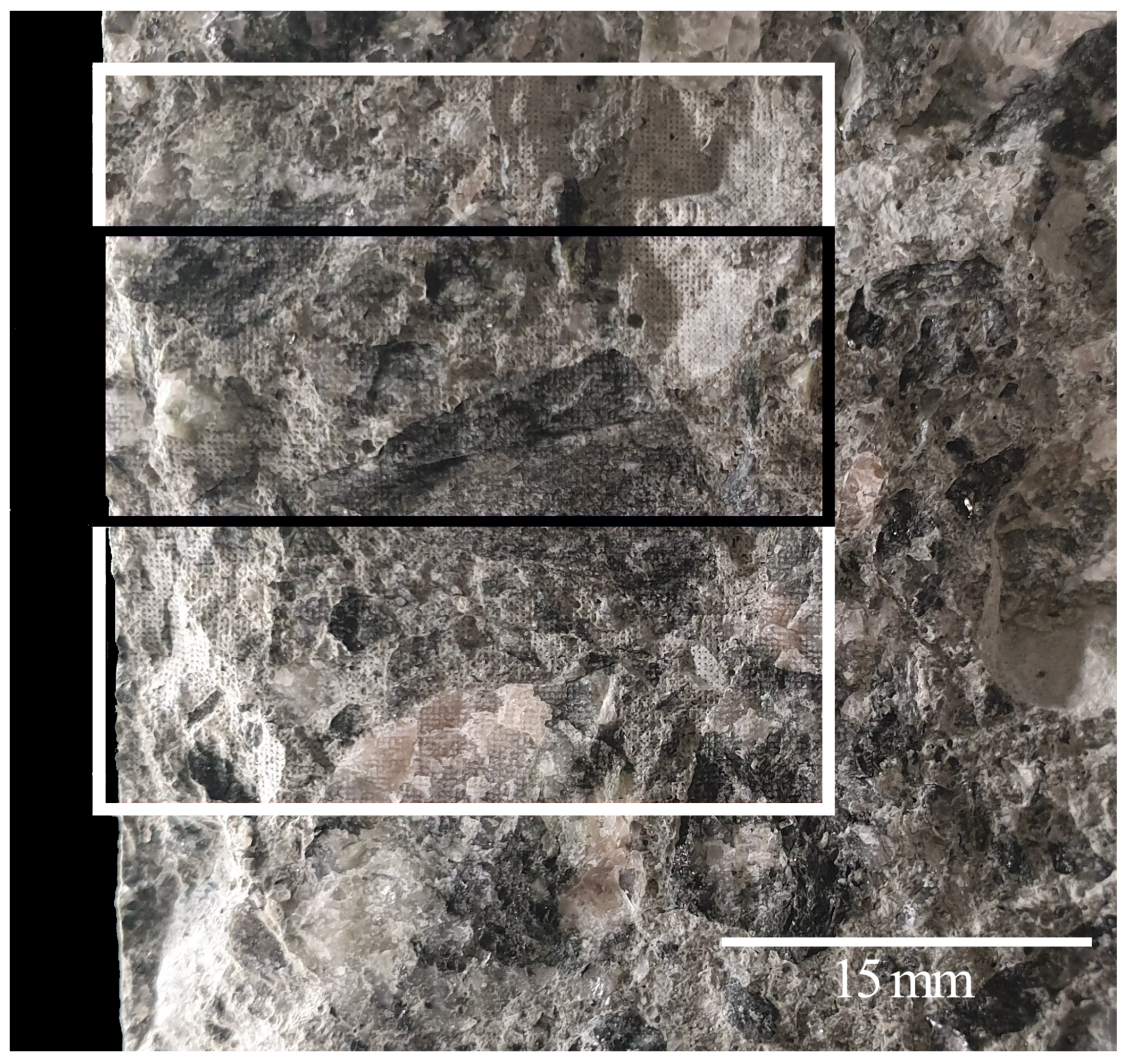 Materials 14 04624 g010