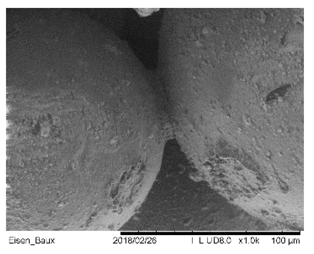 Materials 14 04639 g004