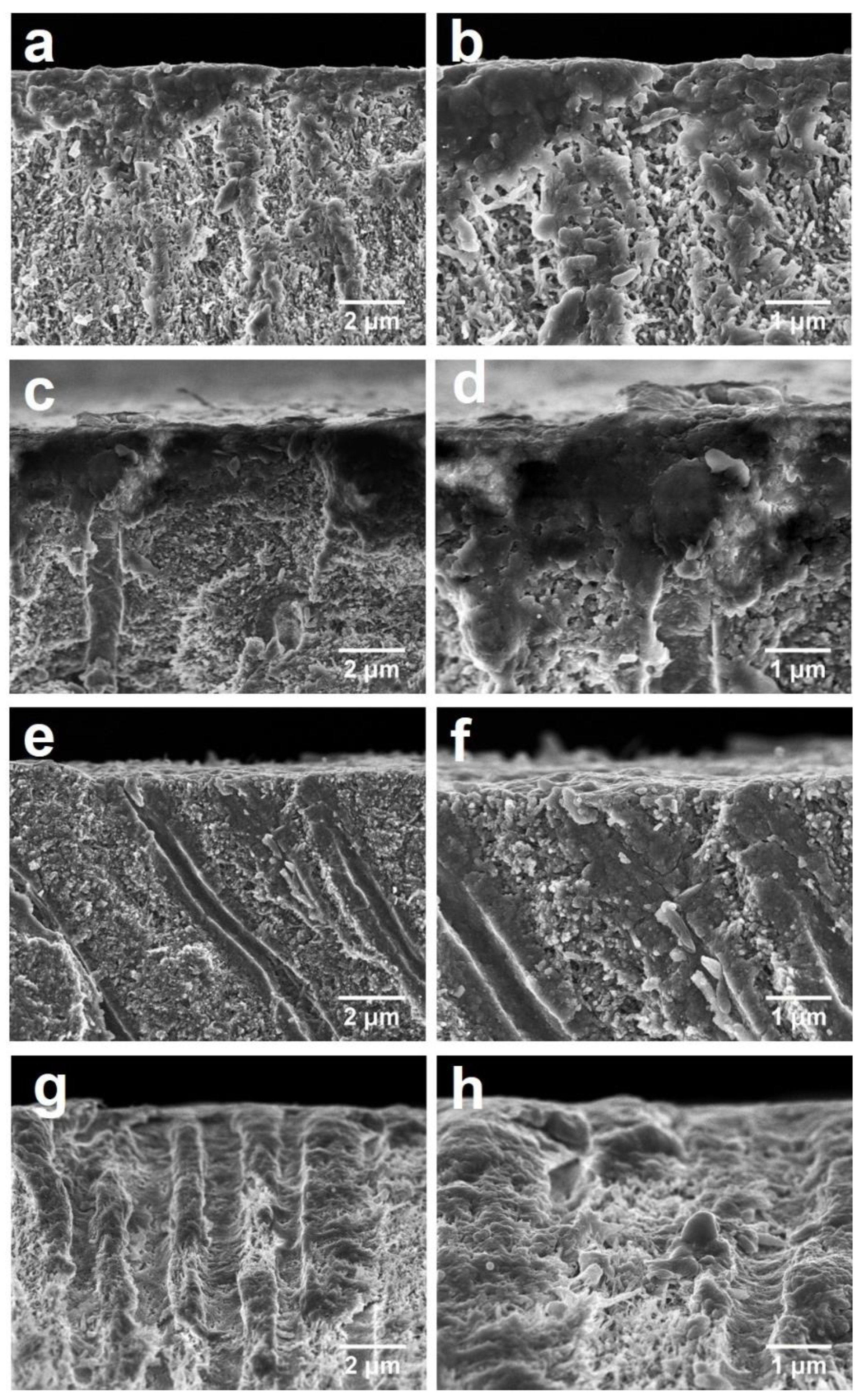 Materials 14 04645 g003
