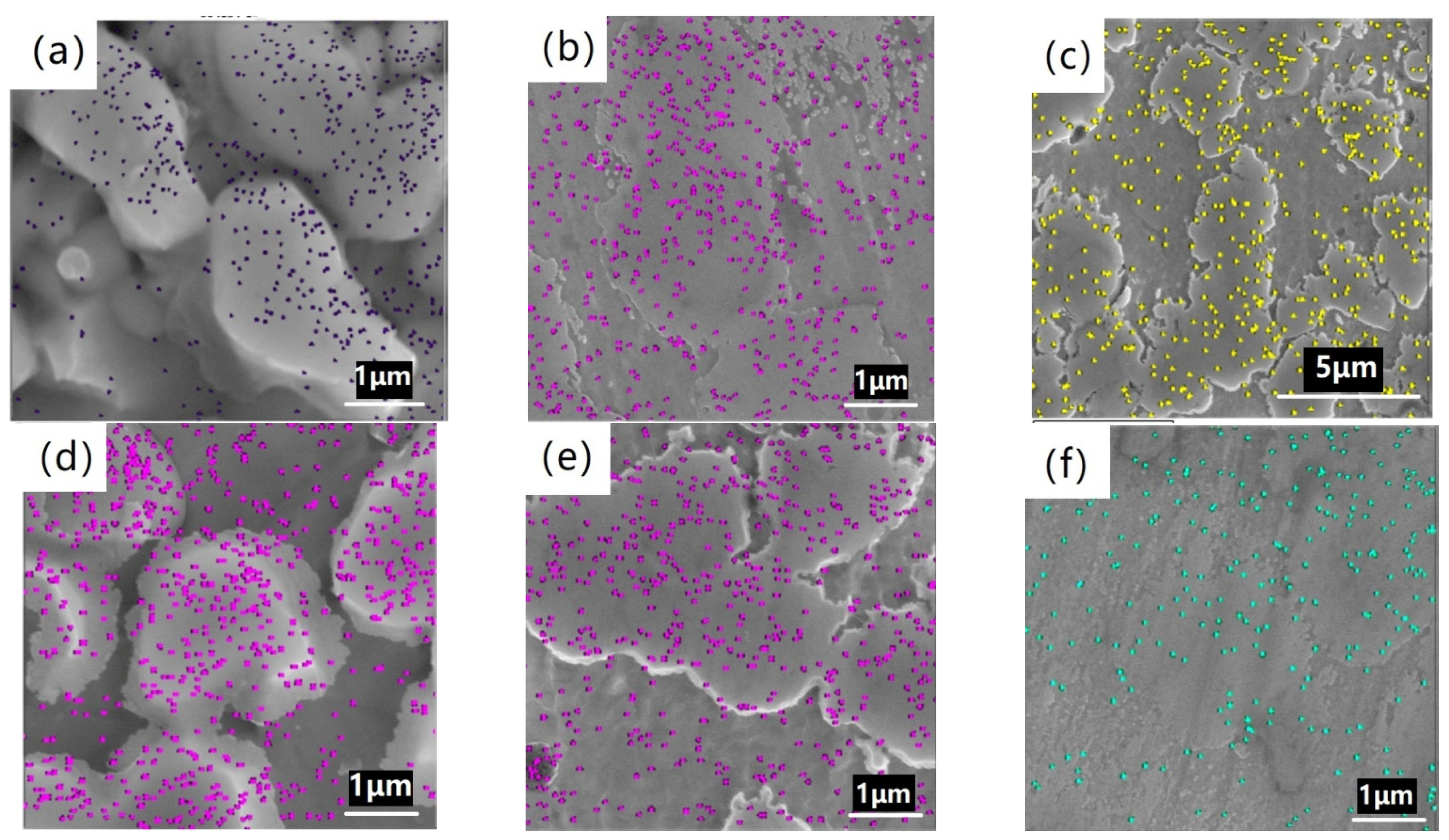 Materials 14 04646 g004