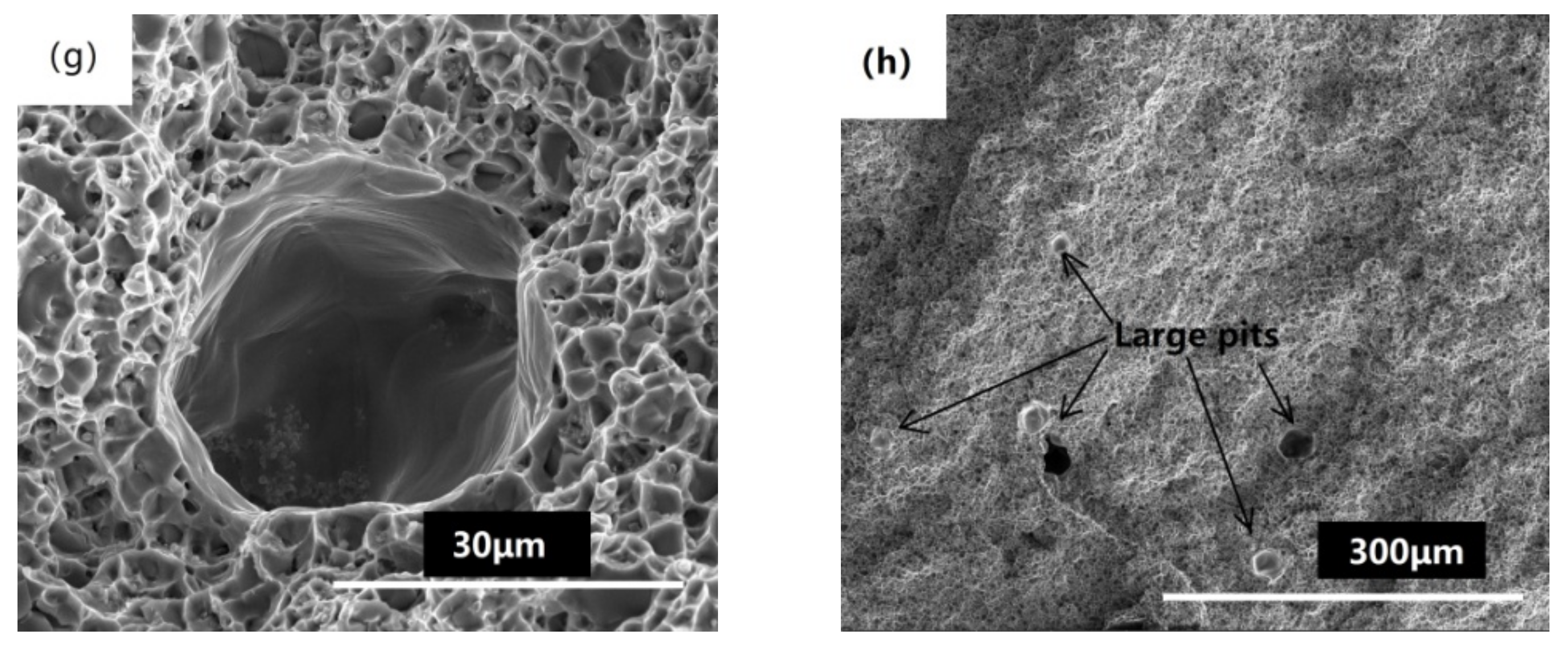 Materials 14 04646 g006b