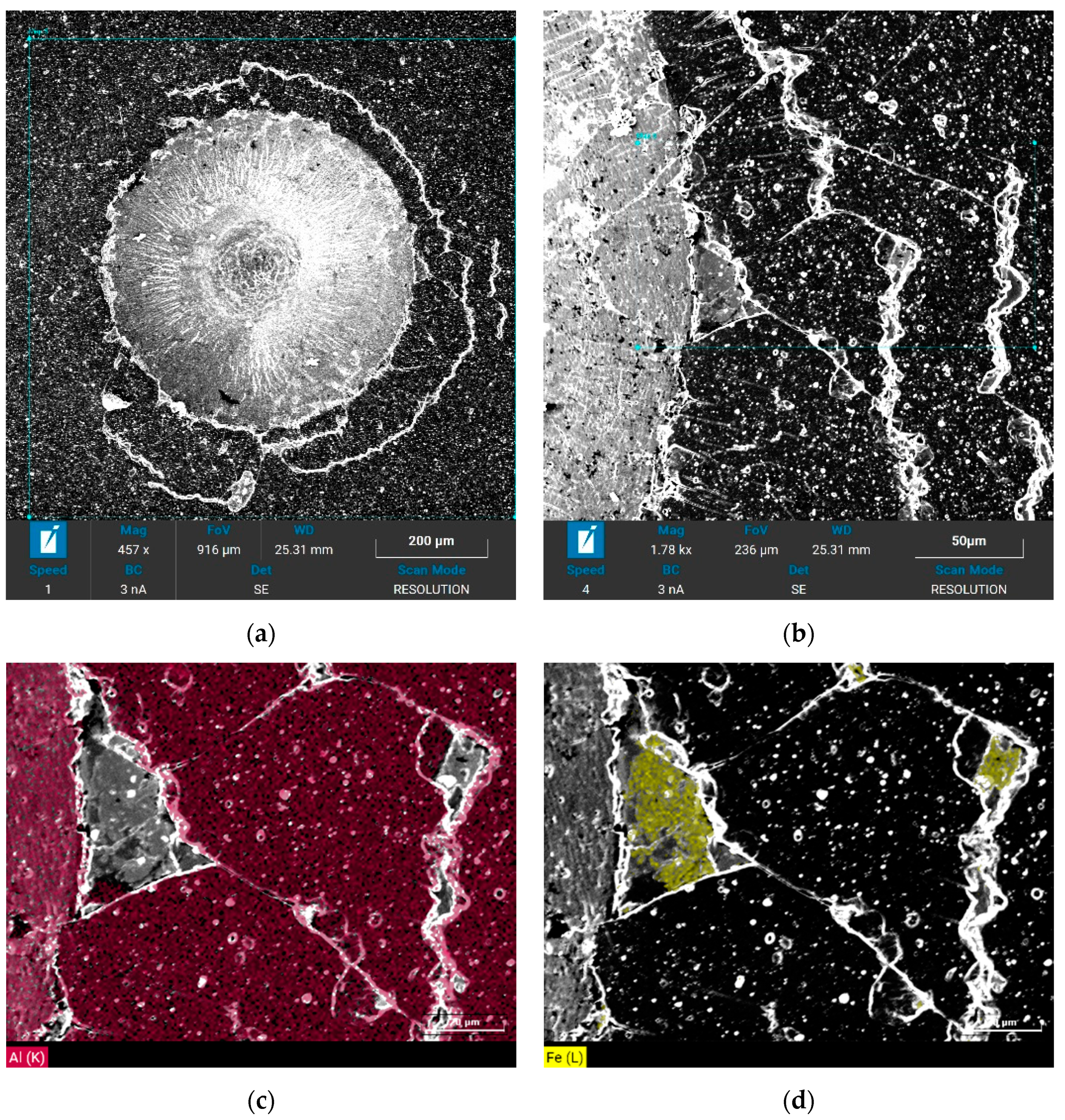 Materials 14 04651 g009