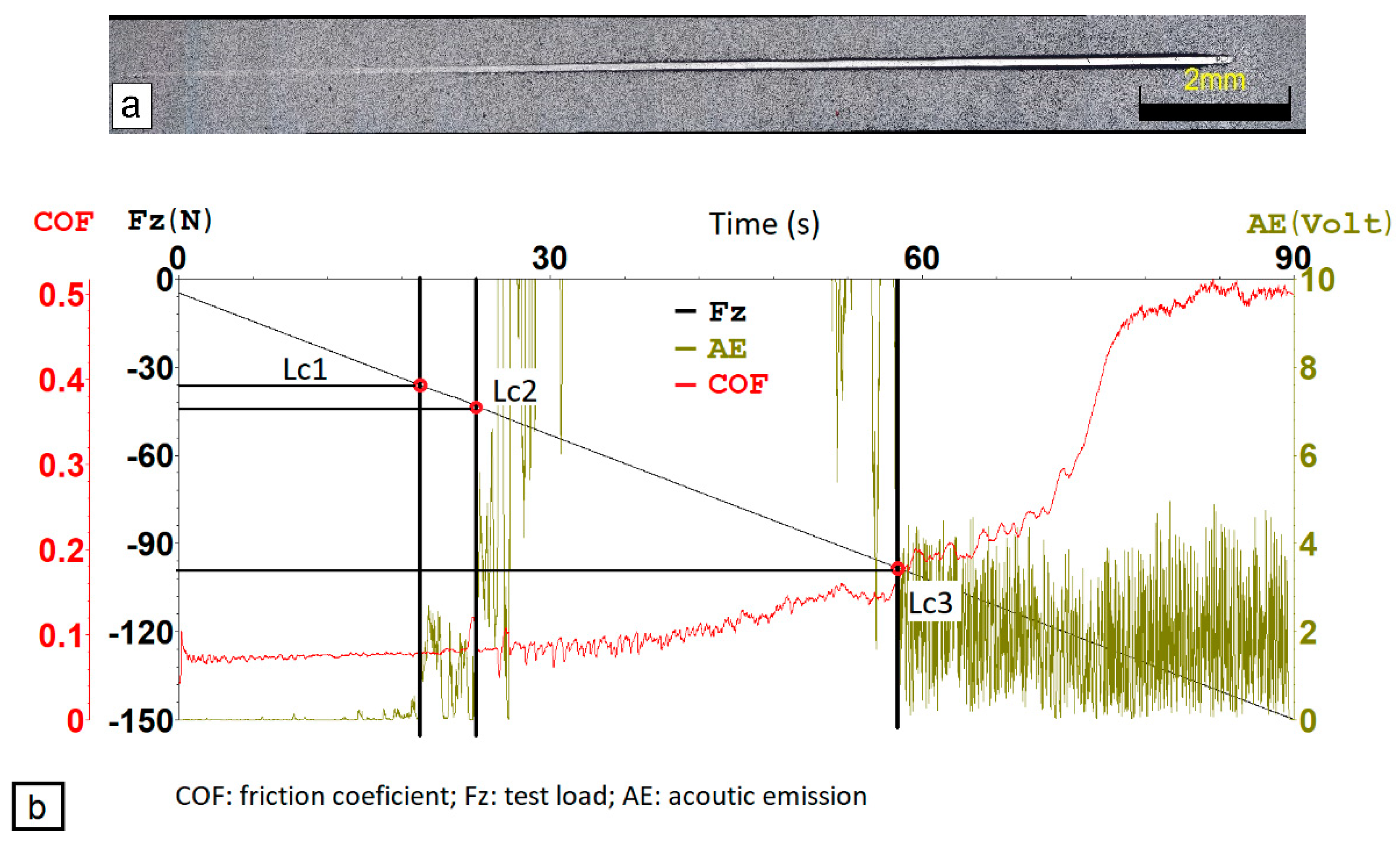 Materials 14 04651 g010