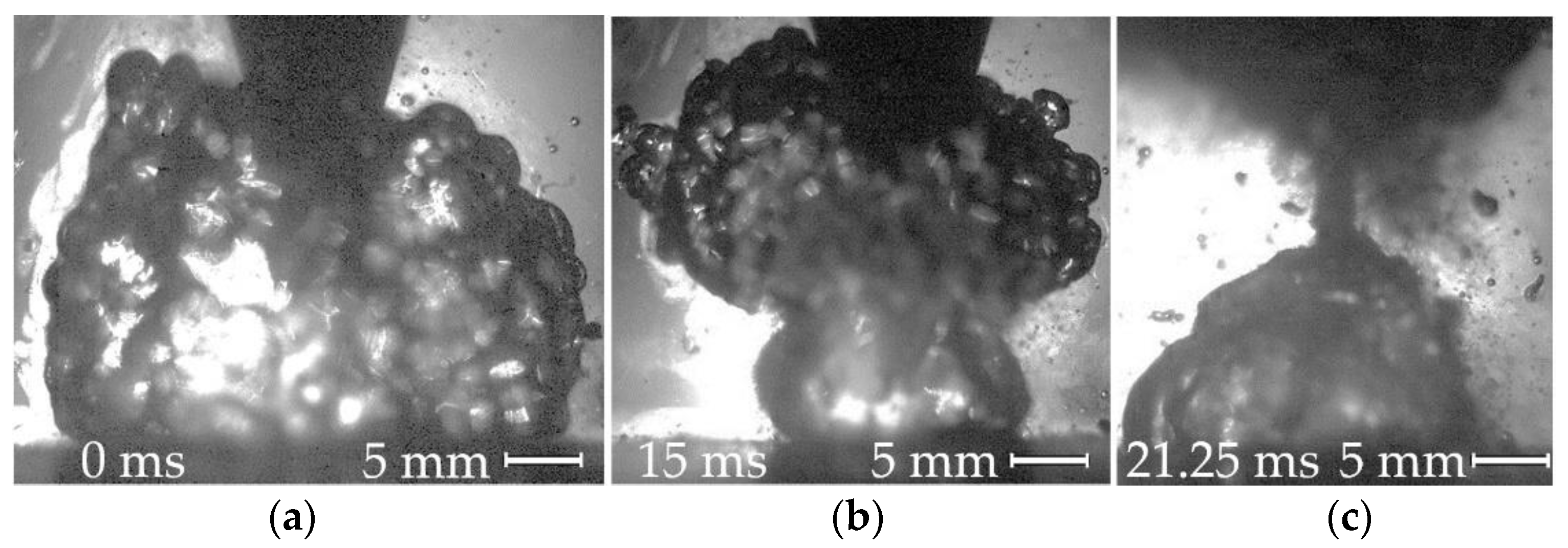 Materials 14 04655 g002