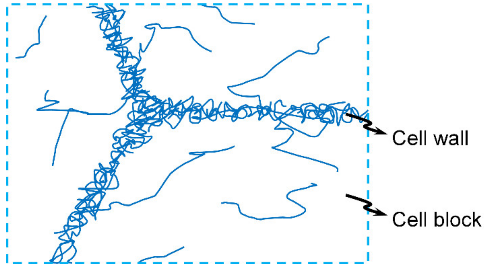 Materials 14 04667 g002