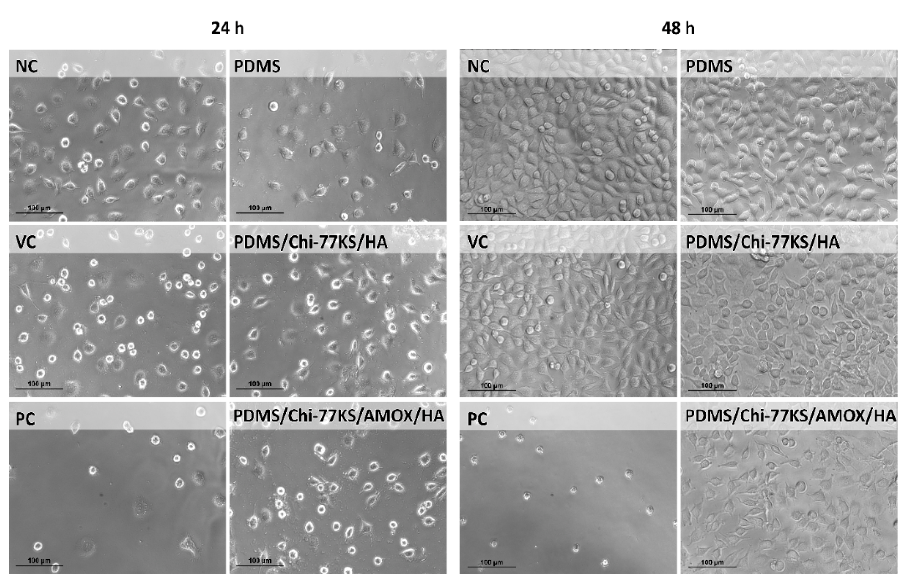 Materials 14 04720 g013