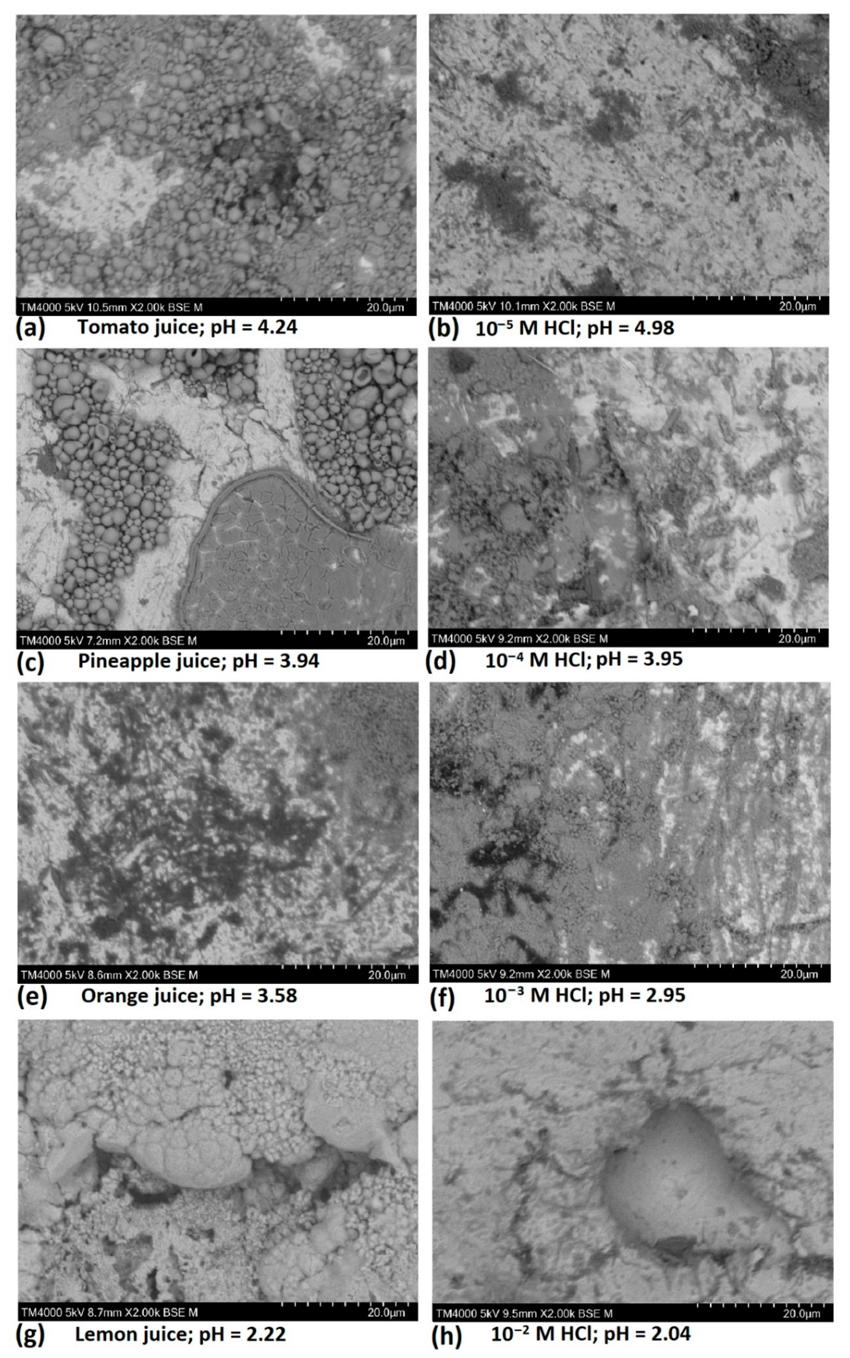 Materials 14 04755 g005