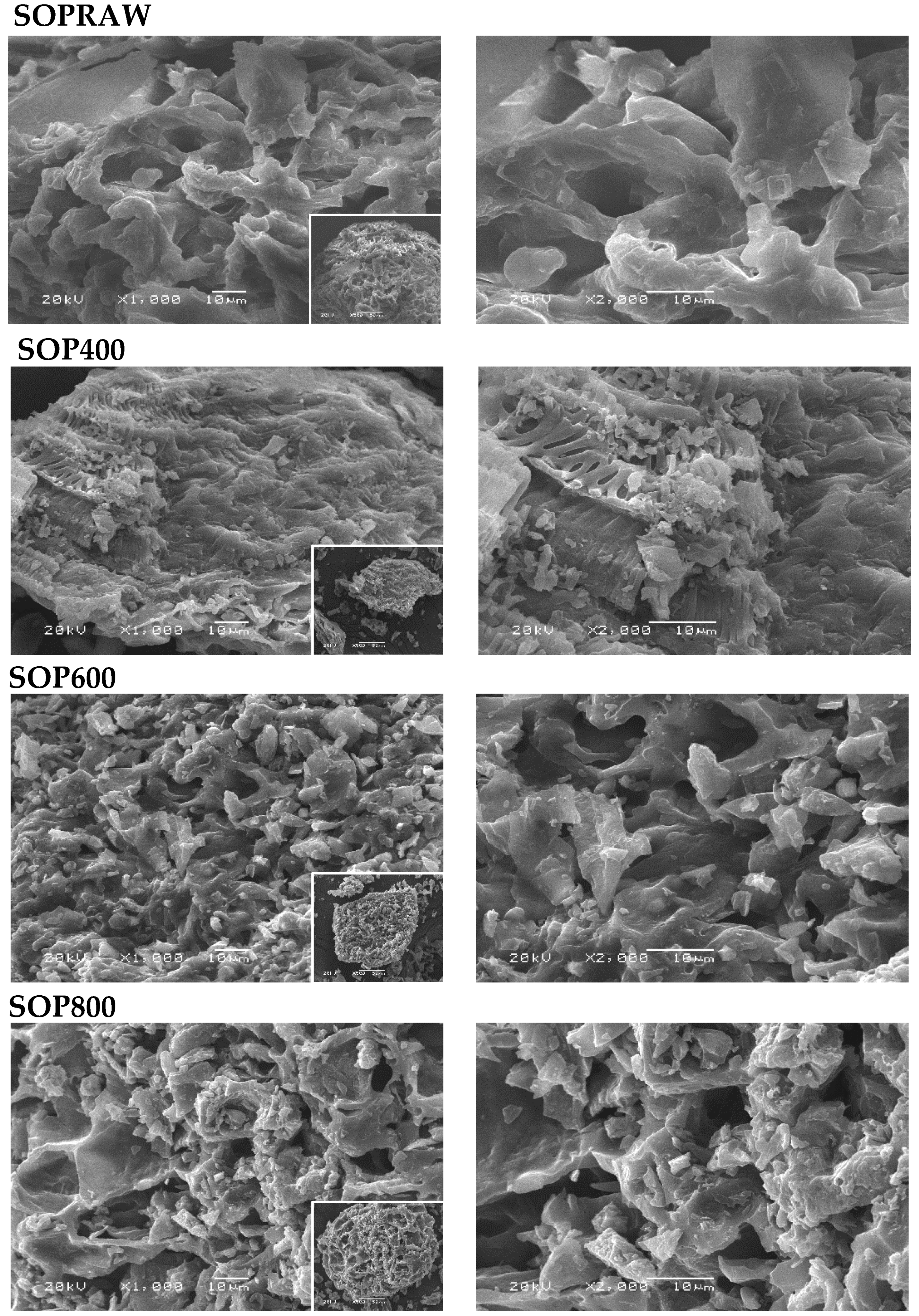 Materials | Free Full-Text | Physicochemical and Optical Characterization  of Citrus aurantium Derived Biochar for Solar Absorber Applications