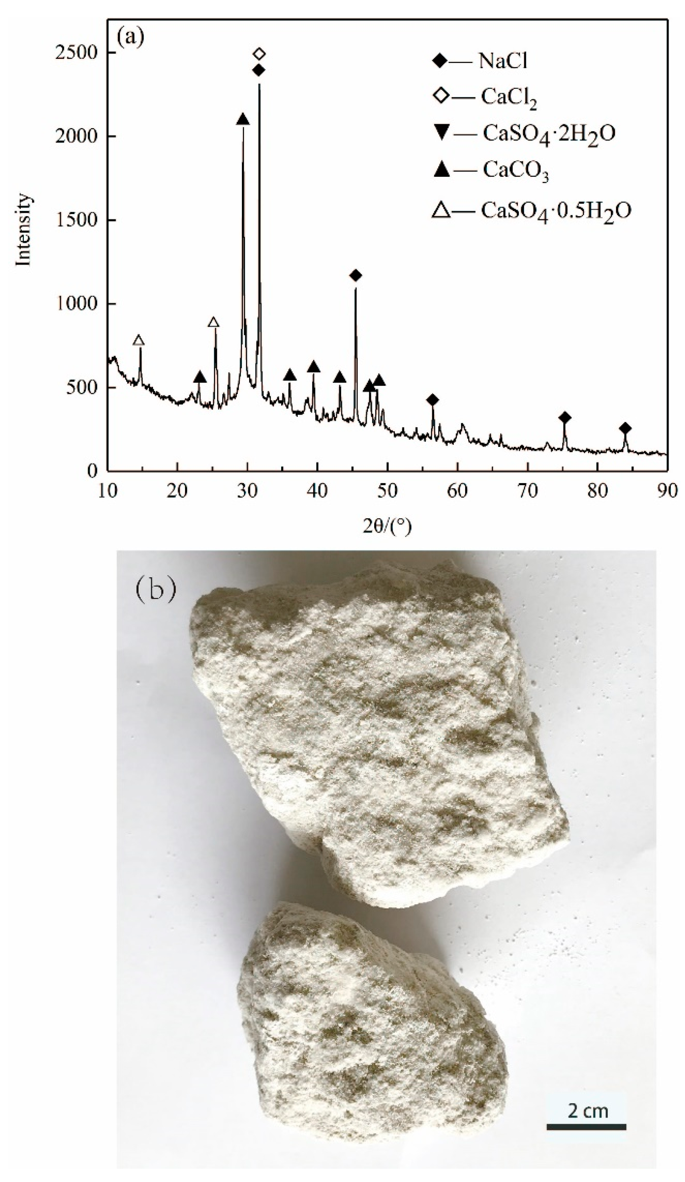 Materials 14 04794 g001