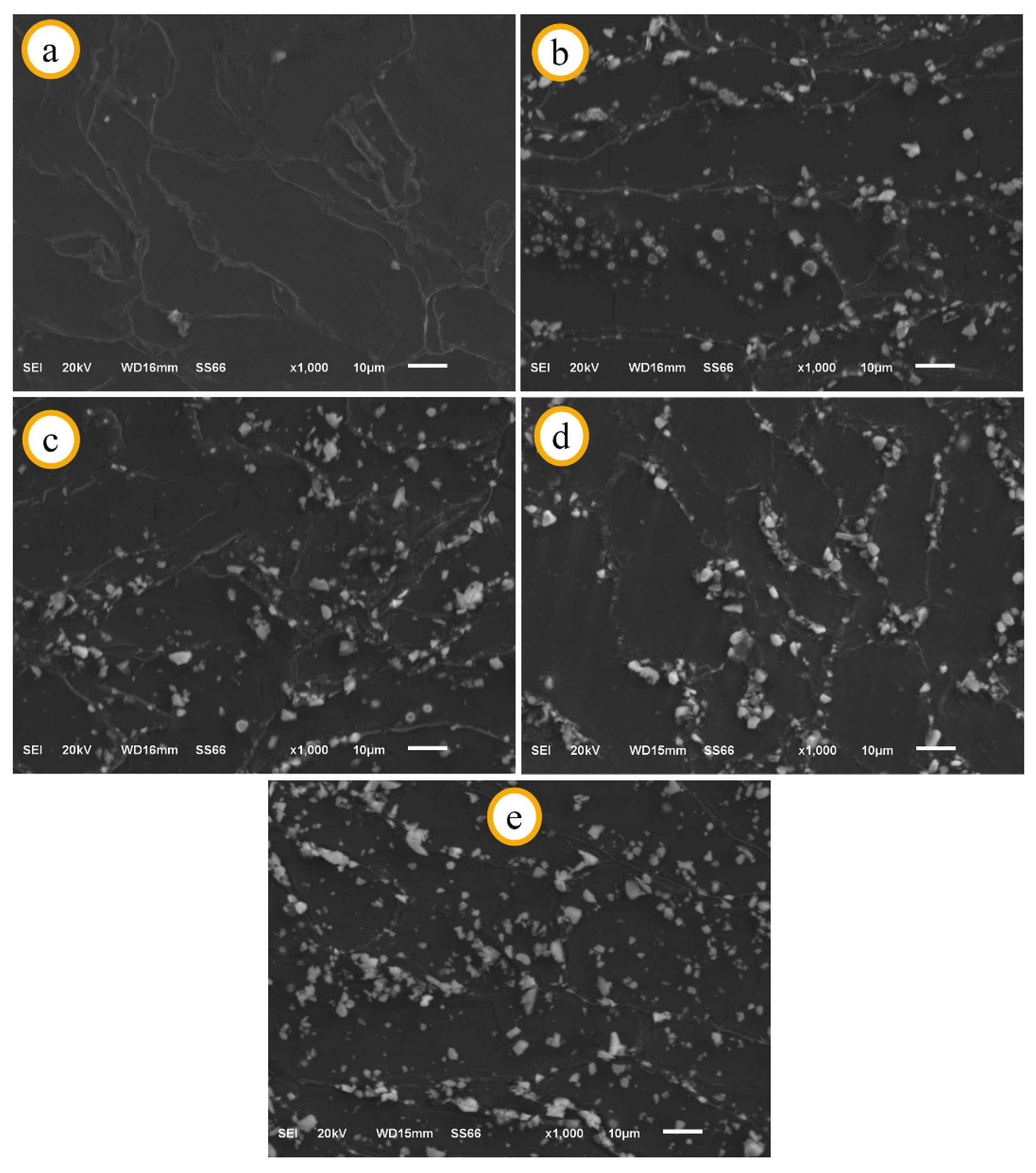 Materials 14 04819 g004