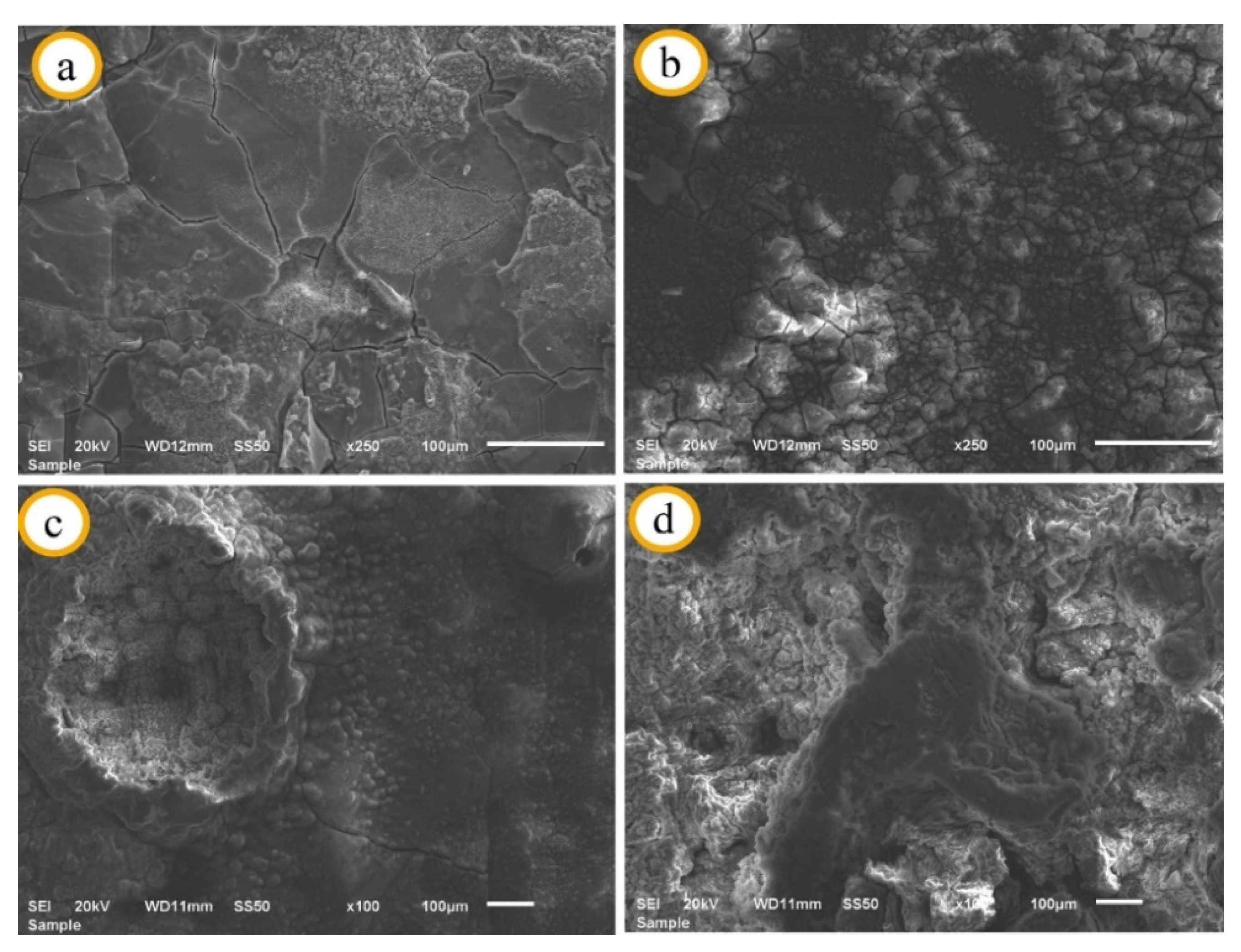 Materials 14 04819 g006