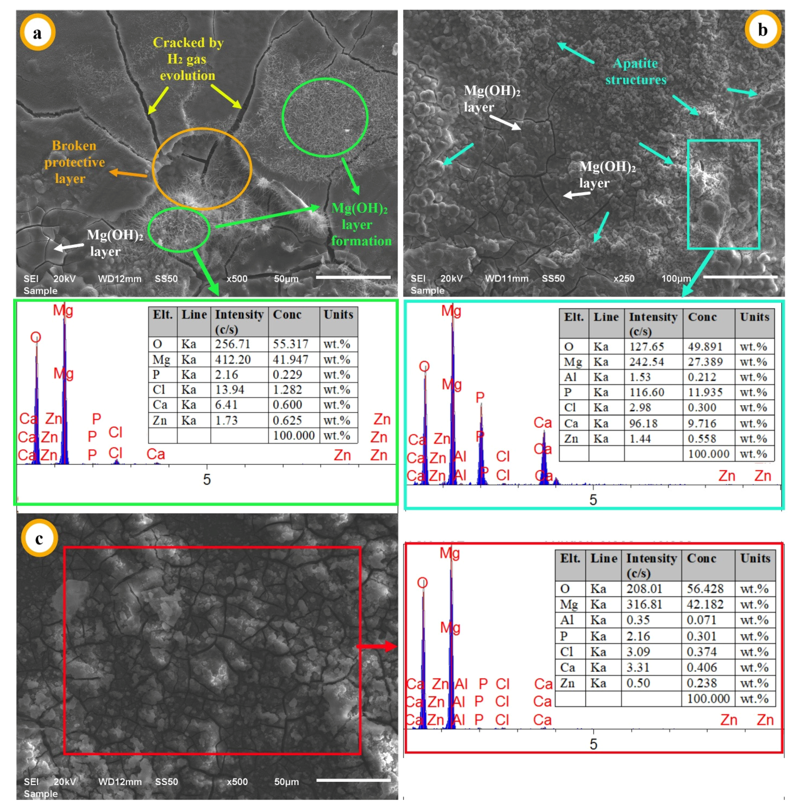 Materials 14 04819 g007
