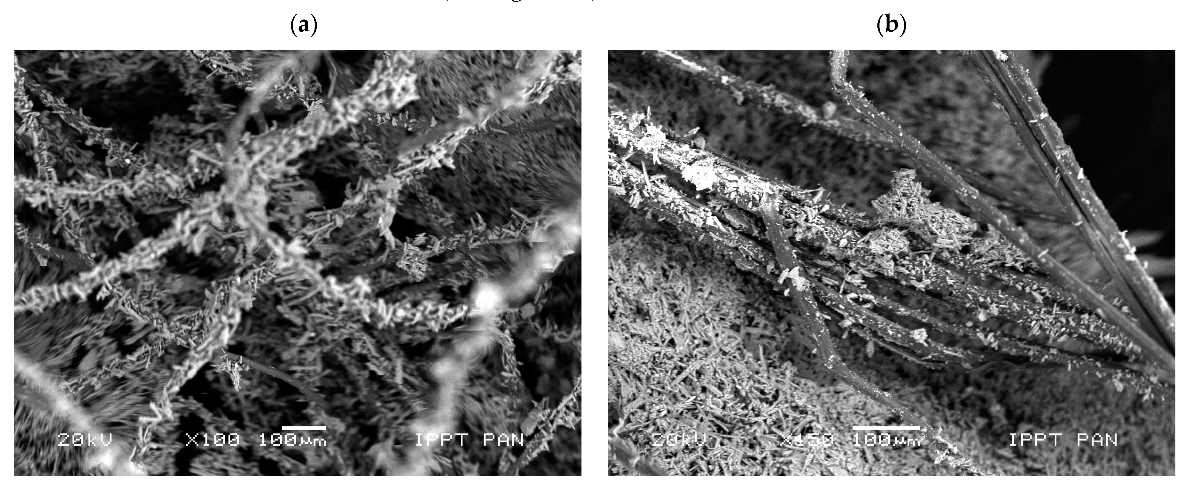 Materials 14 04830 g010