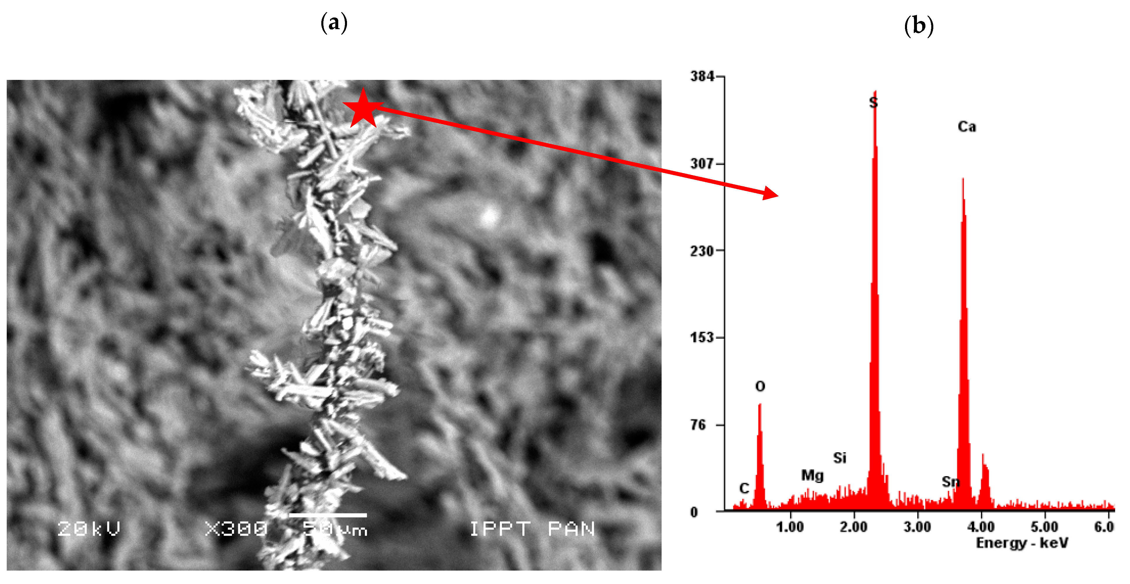 Materials 14 04830 g011