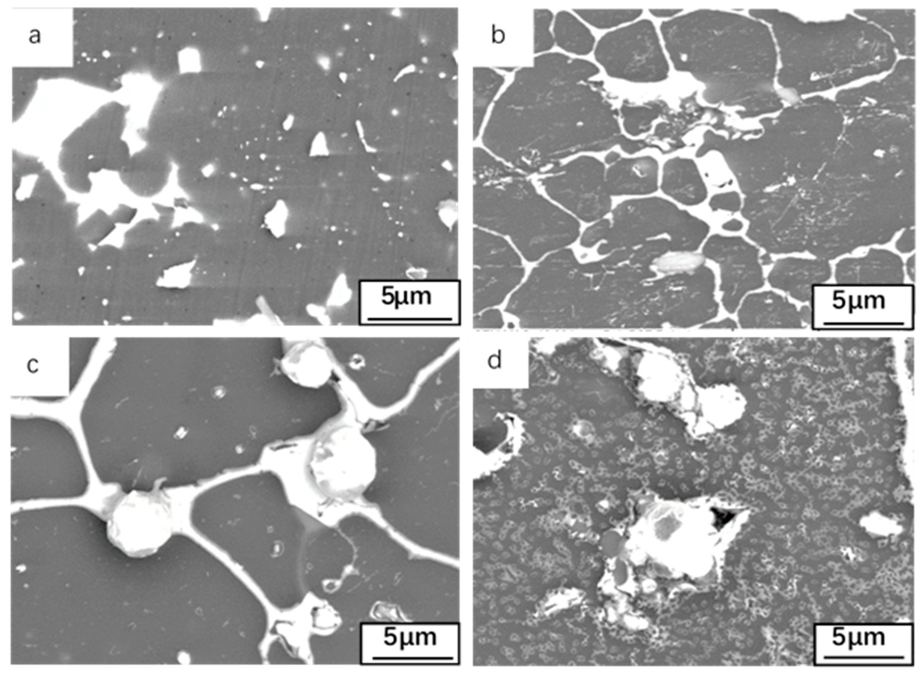 Materials 14 04845 g003