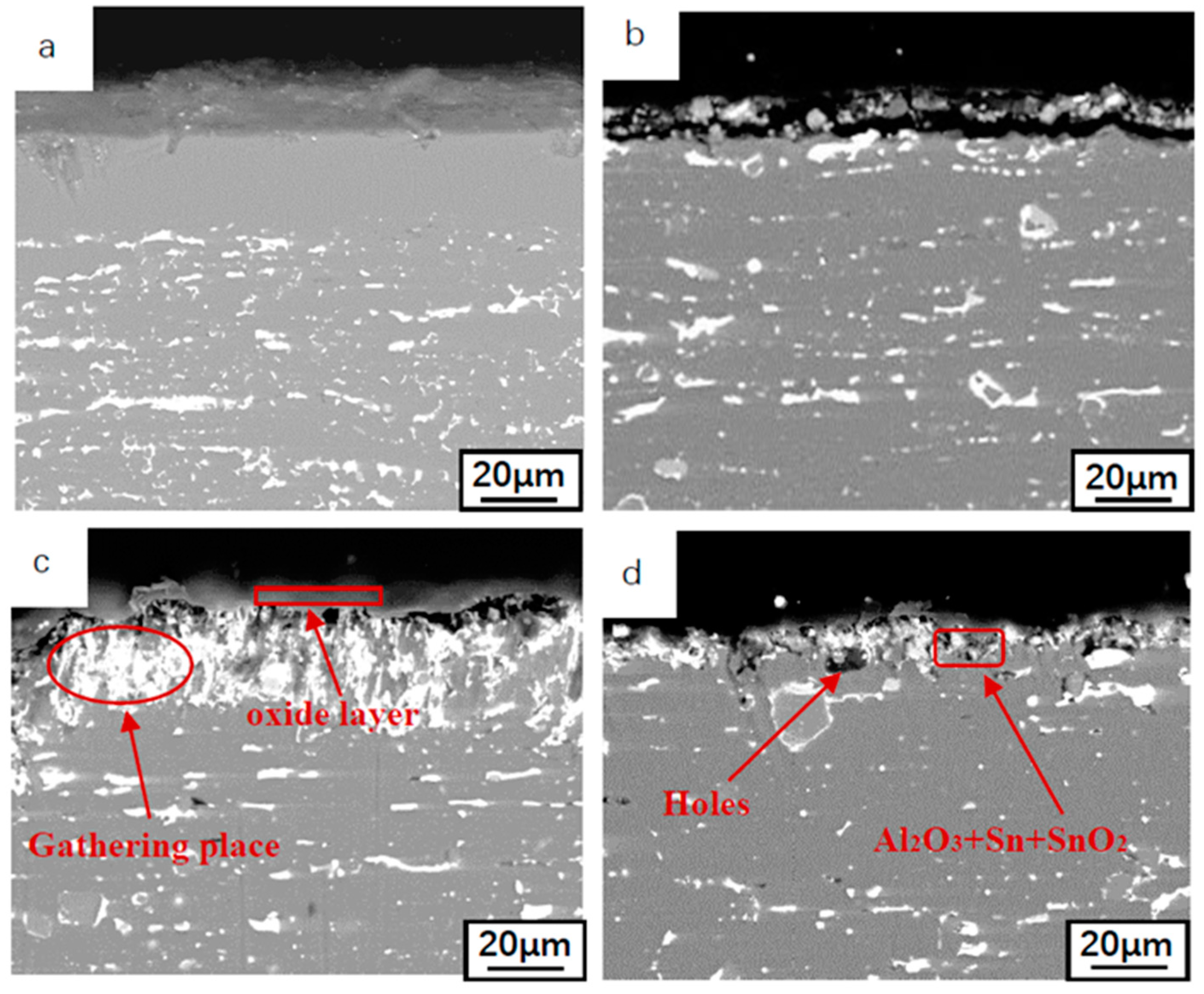 Materials 14 04845 g005