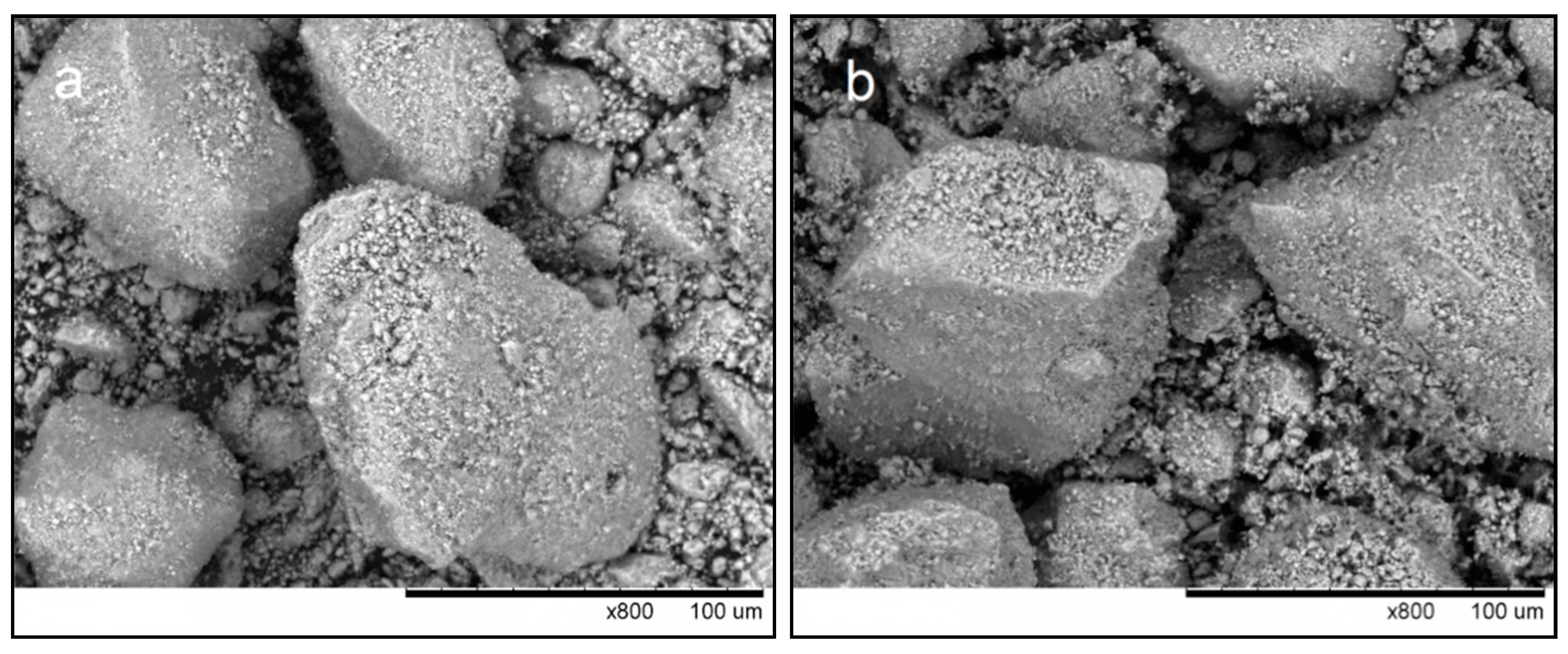 Materials 14 04852 g002