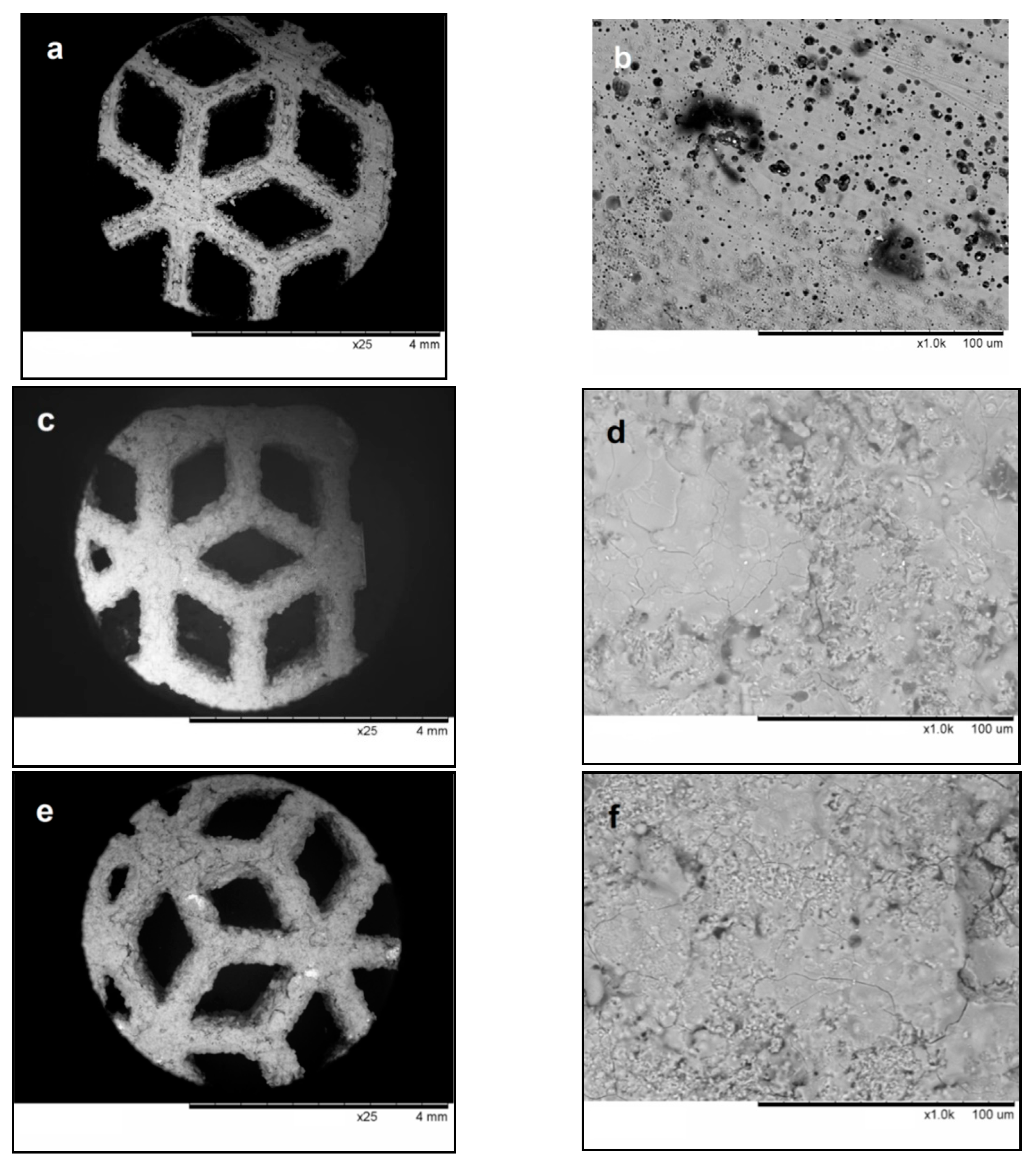 Materials 14 04852 g005