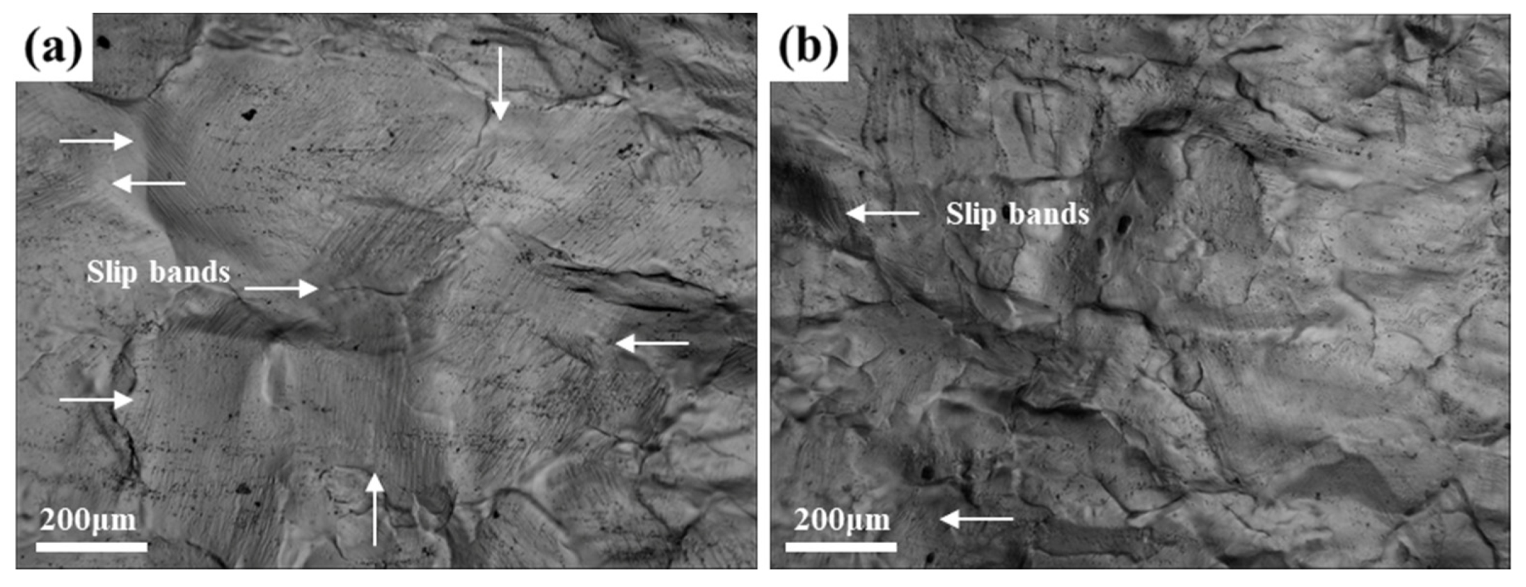 Materials 14 04873 g011