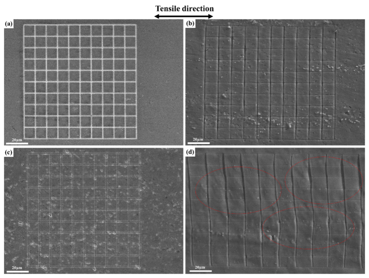 Materials 14 04873 g012