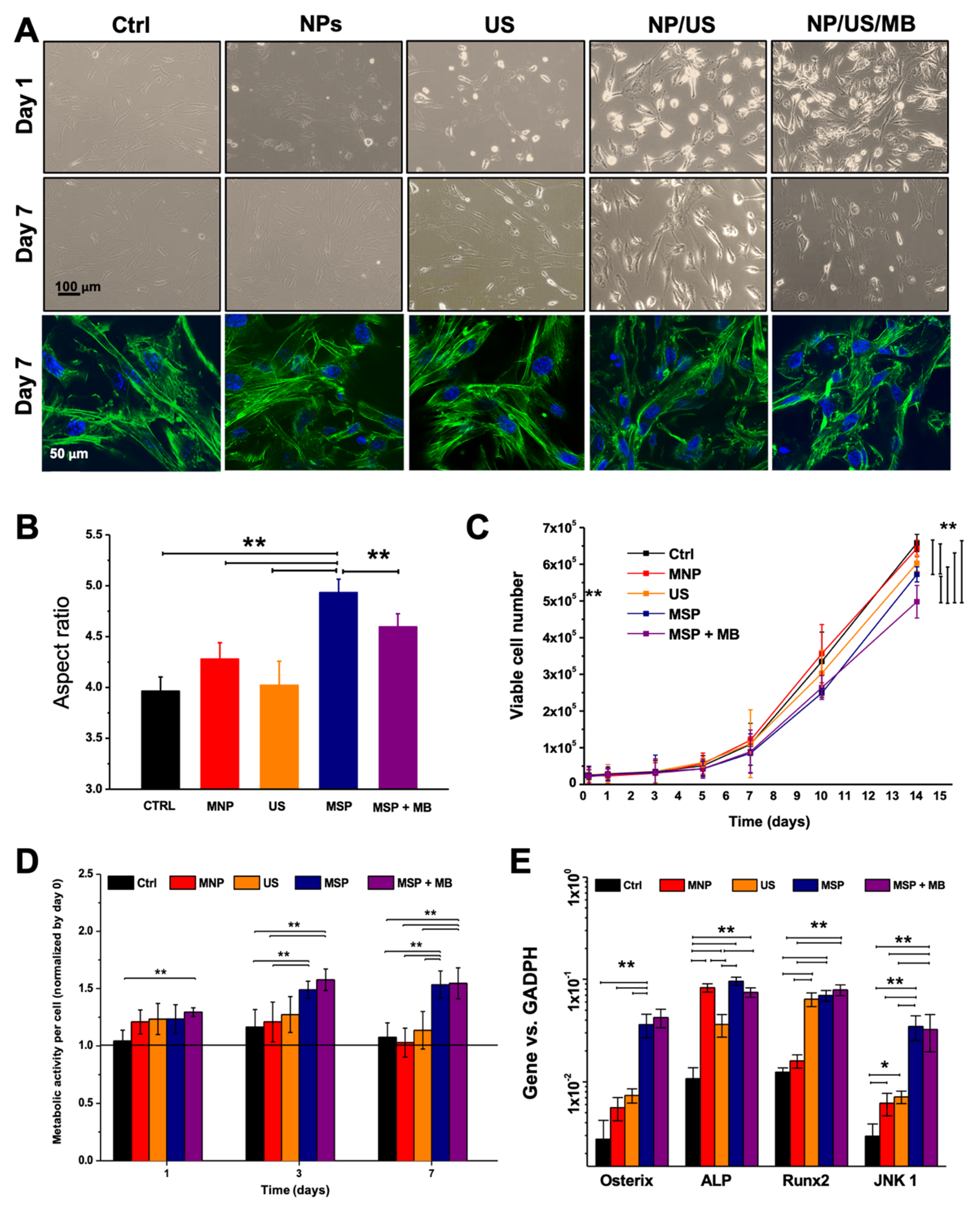 Materials 14 04877 g002