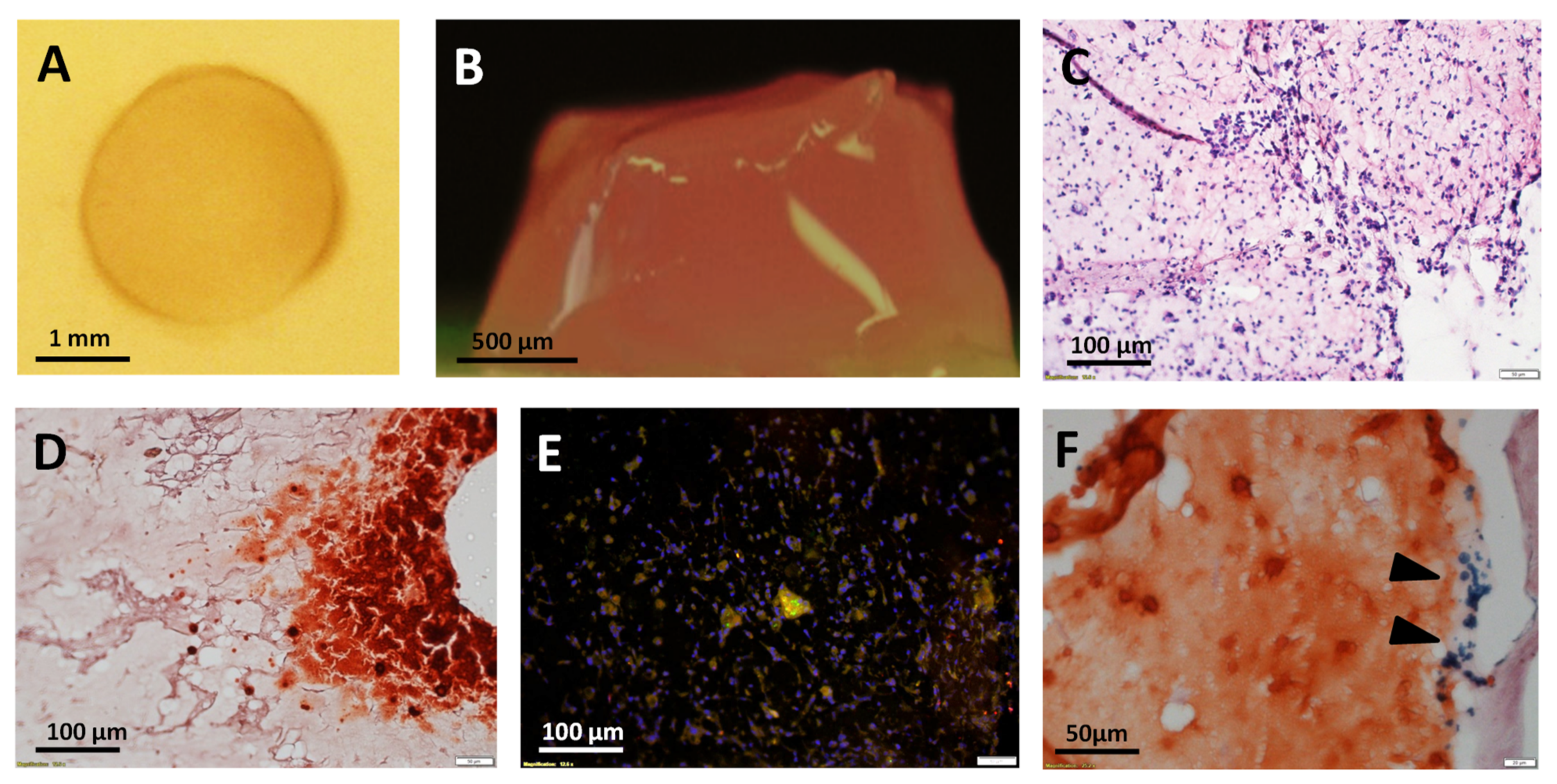 Materials 14 04877 g003