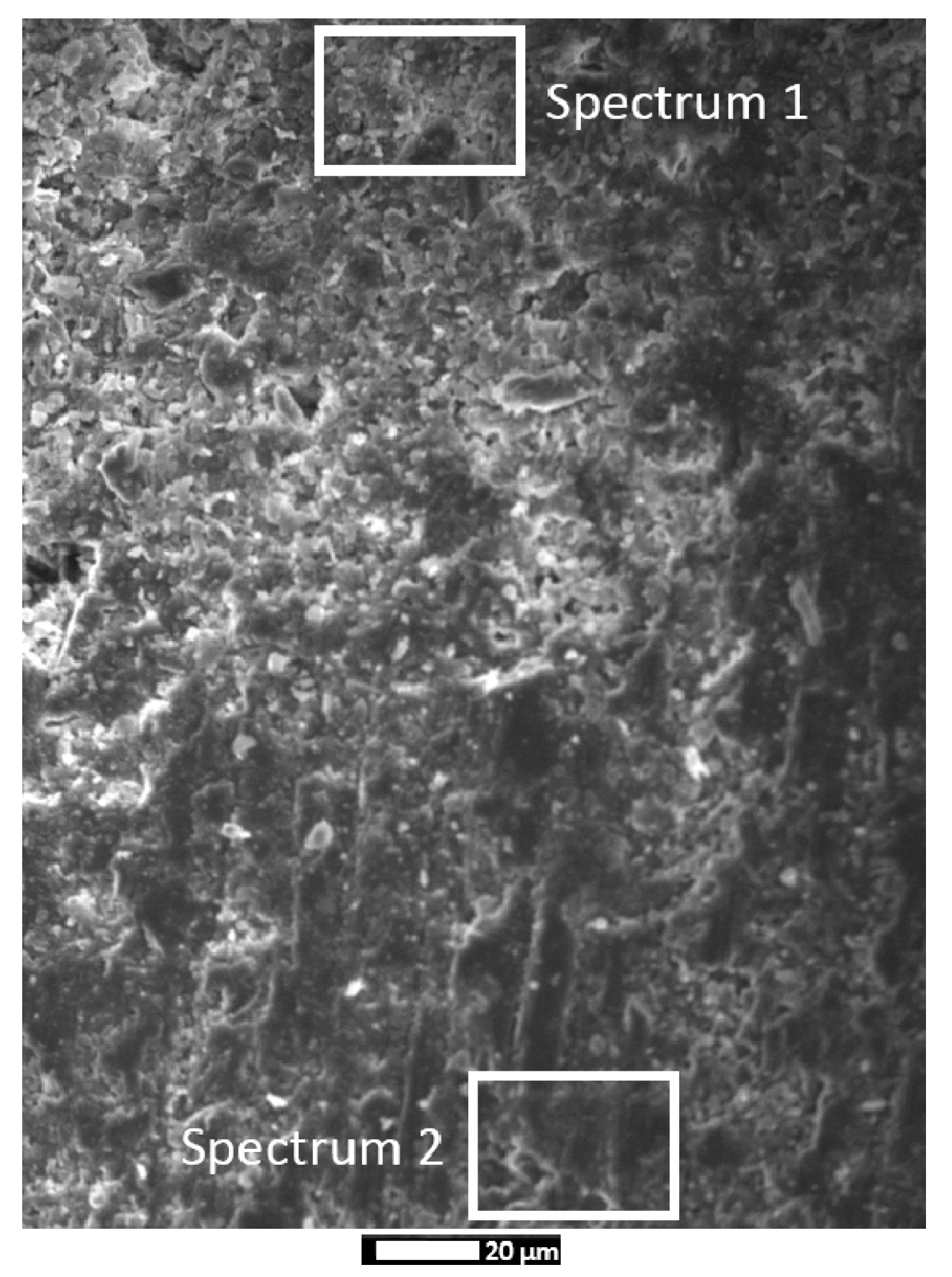 Materials 14 04897 g003