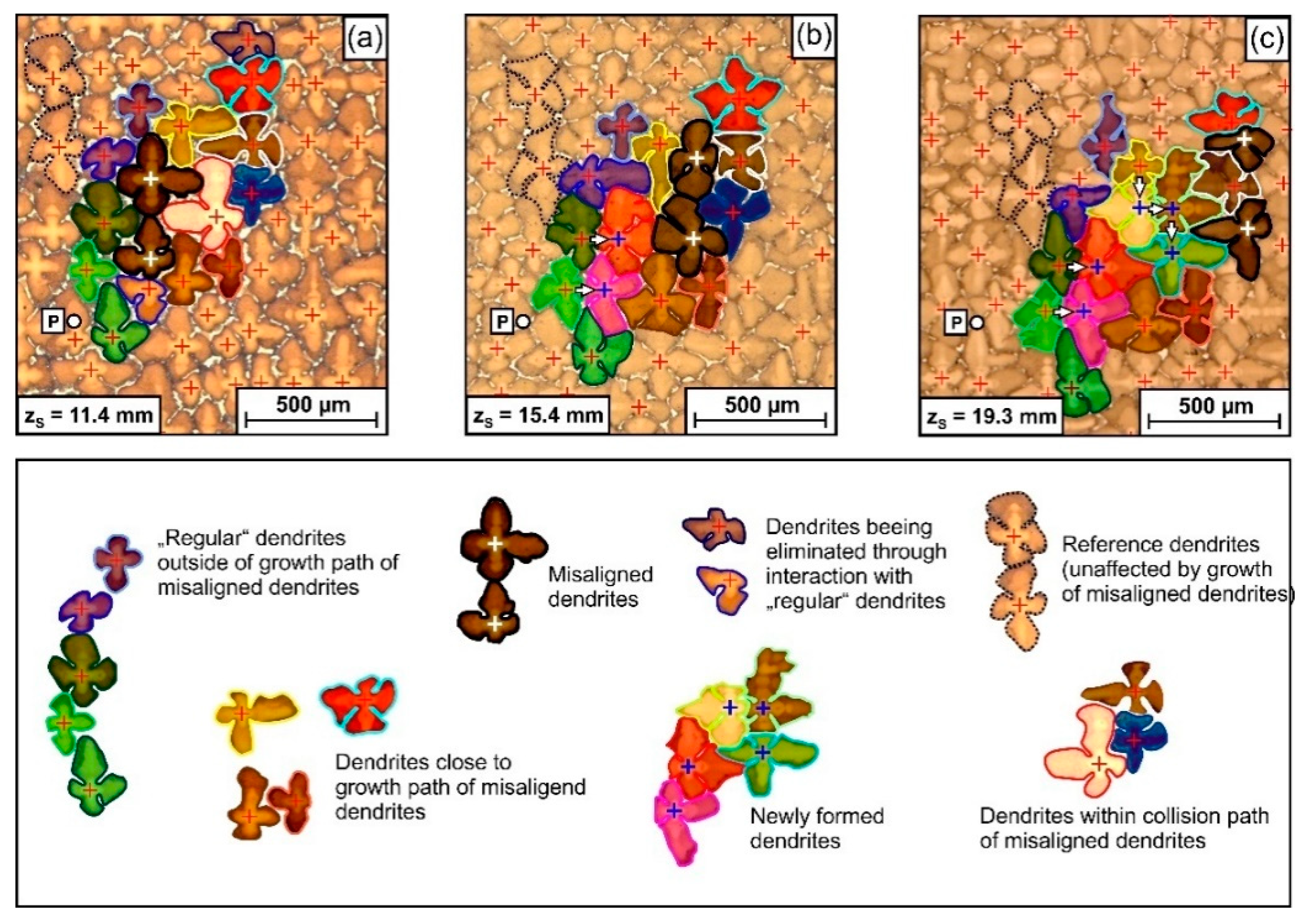 Materials 14 04904 g015