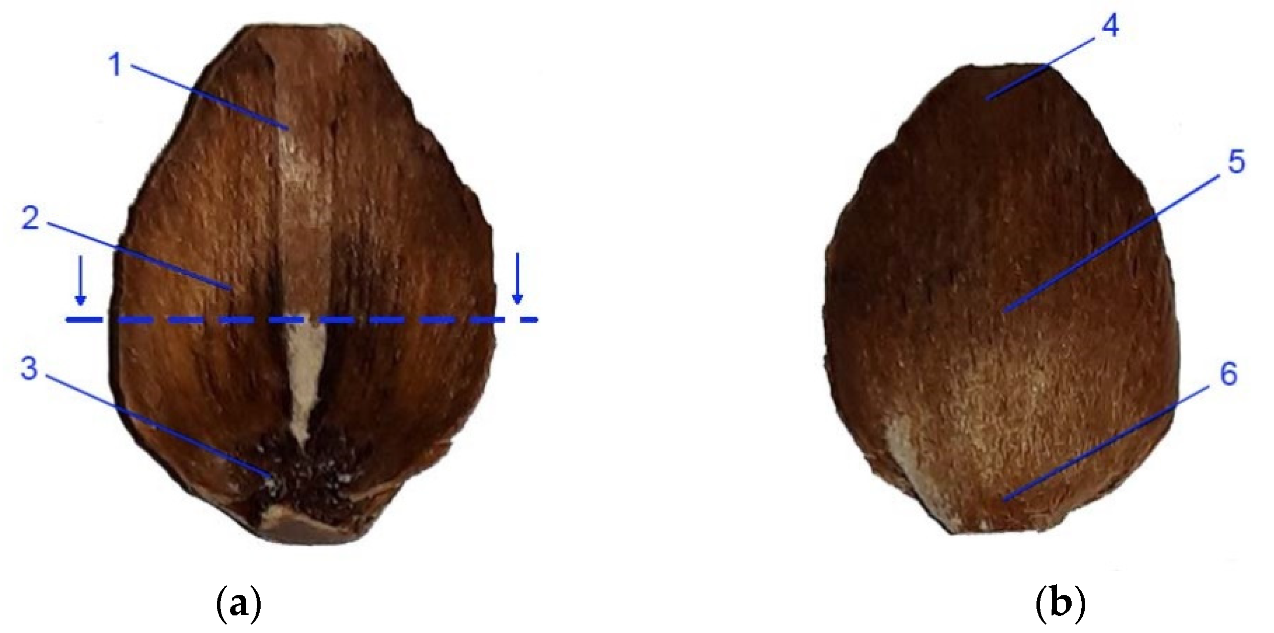 Materials 14 04913 g002 Materials 14 04913 g002