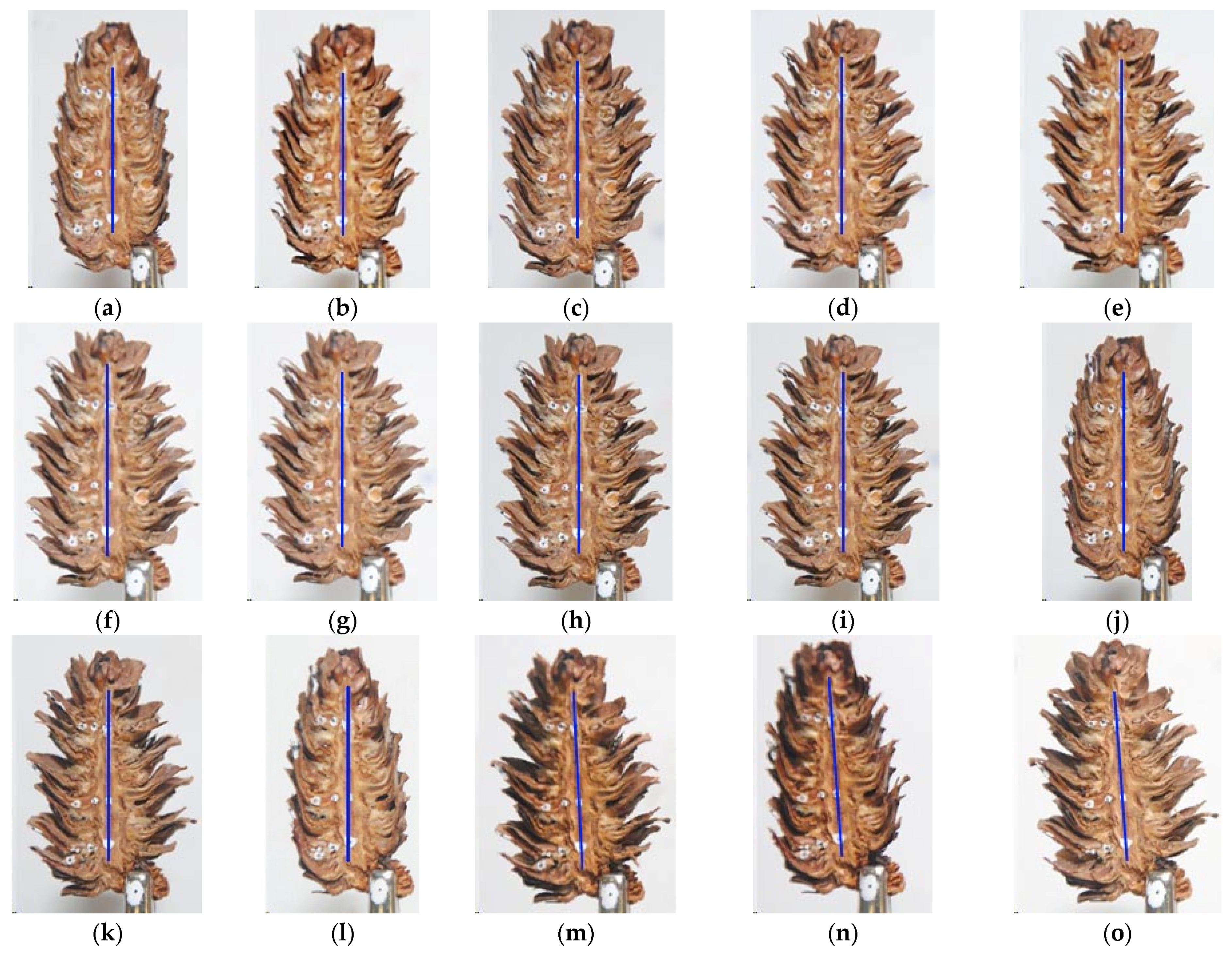 Materials 14 04913 g003 Materials 14 04913 g003