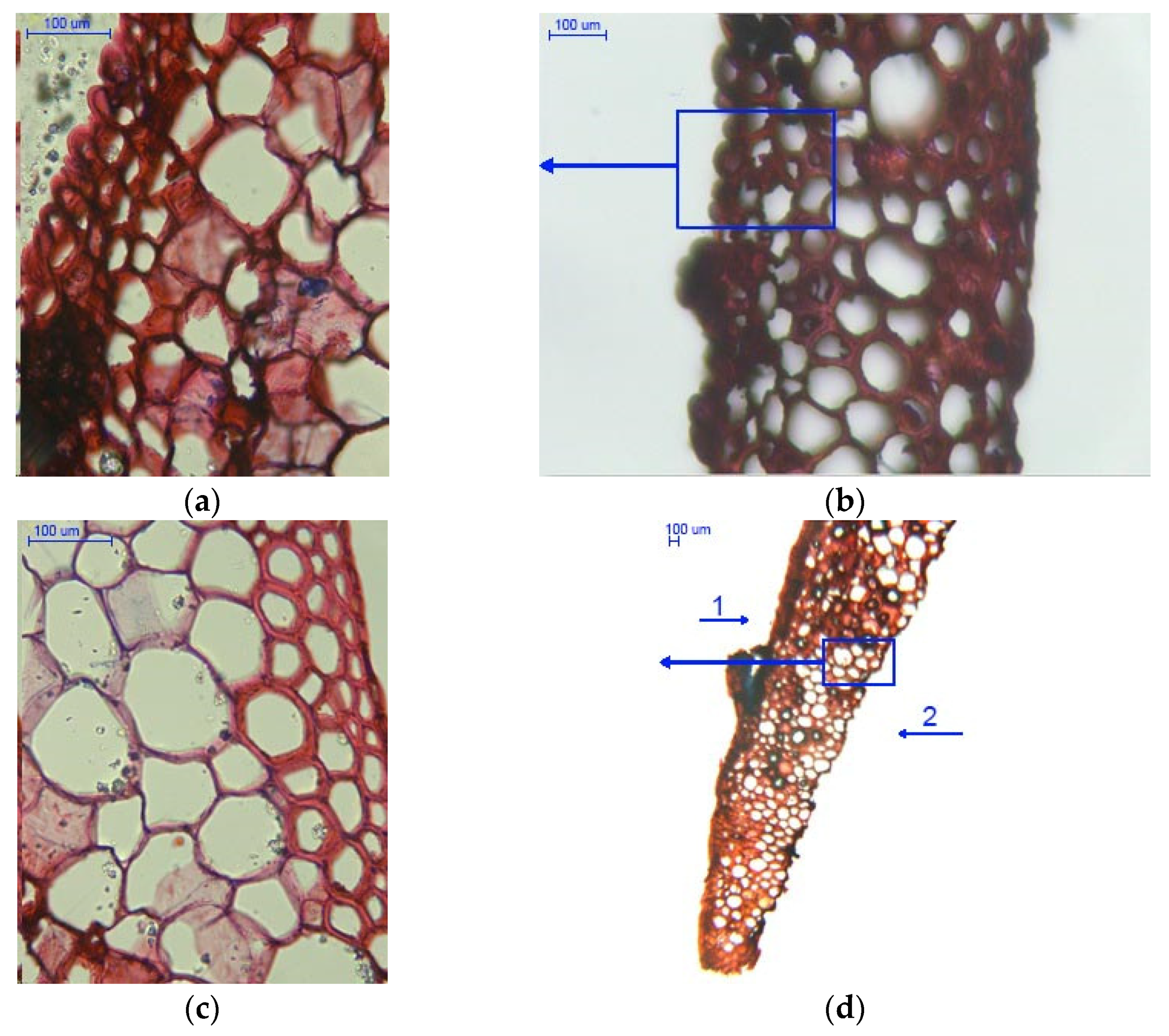 Materials 14 04913 g006 Materials 14 04913 g006