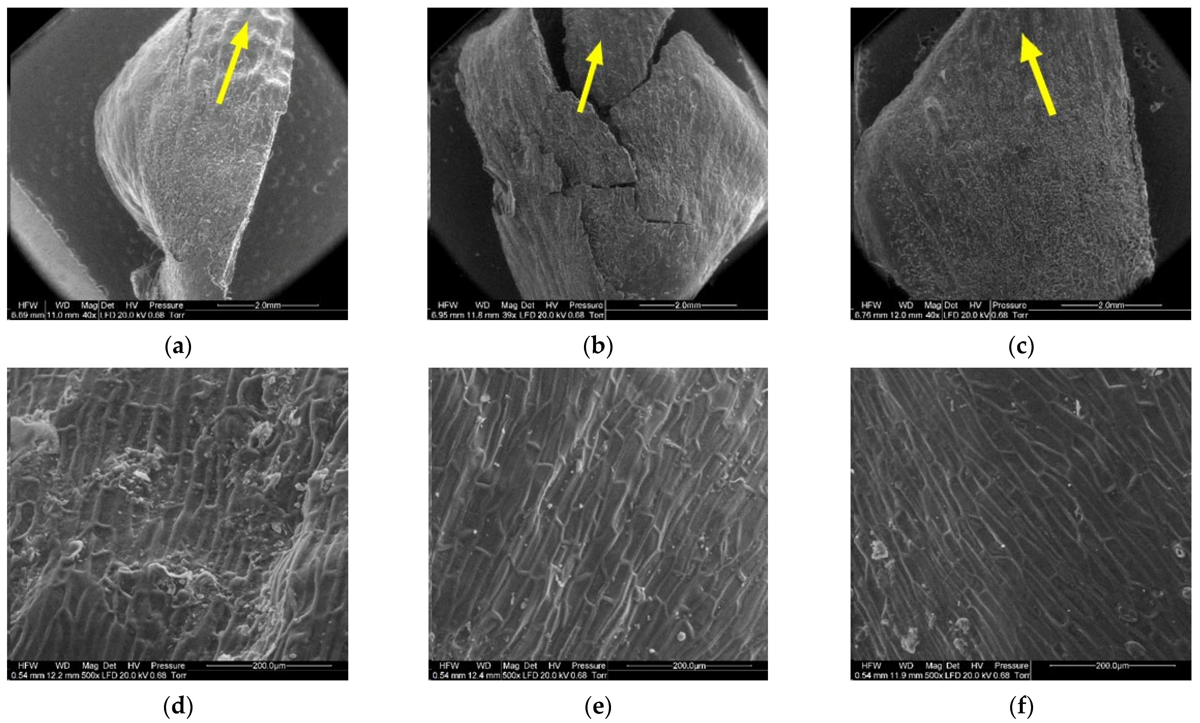 Materials 14 04913 g011 Materials 14 04913 g011