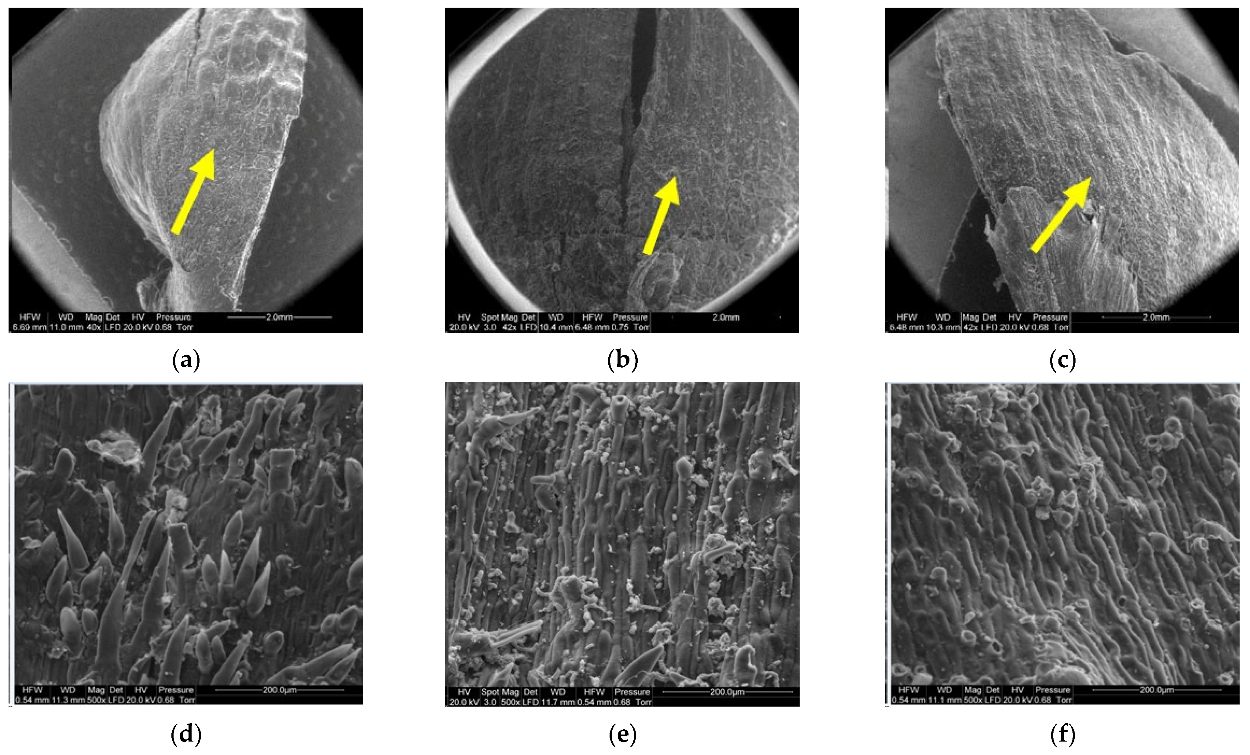 Materials 14 04913 g012 Materials 14 04913 g012