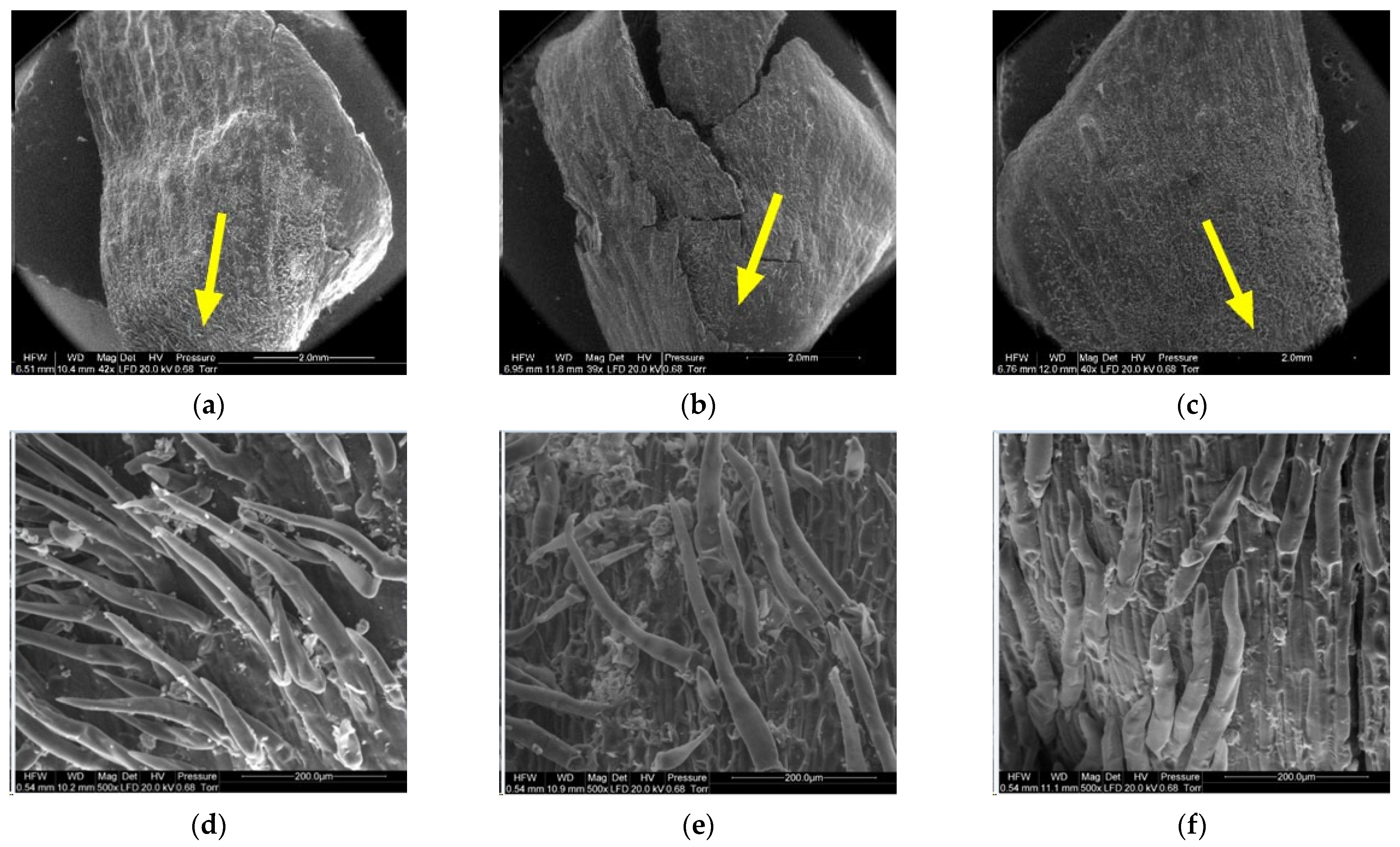 Materials 14 04913 g013 Materials 14 04913 g013