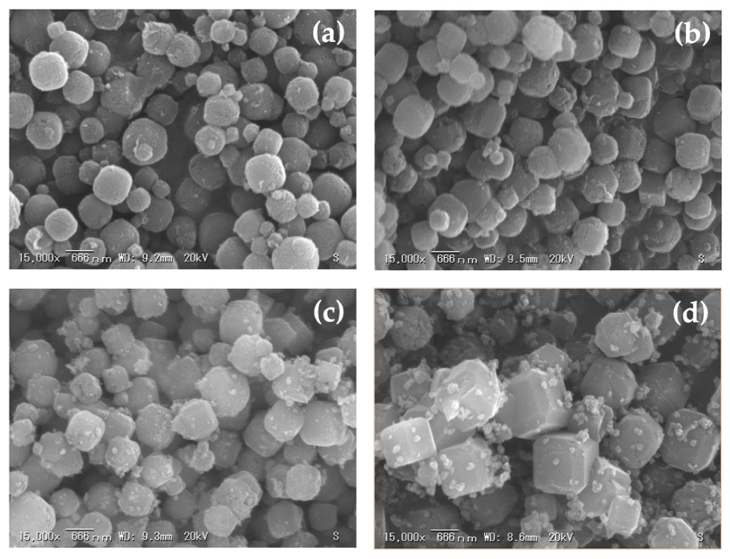 Materials 14 04915 g010