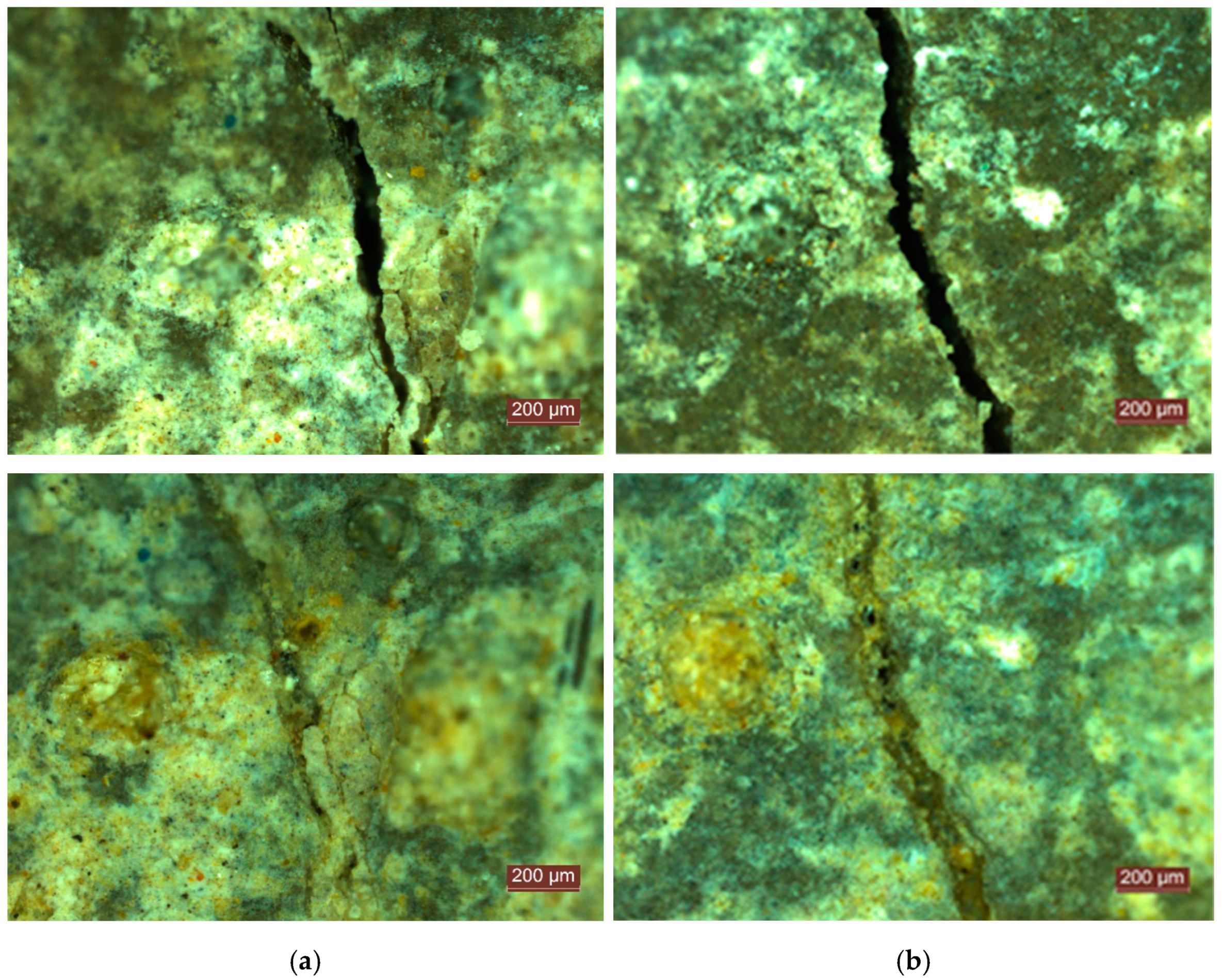 Materials 14 04951 g006