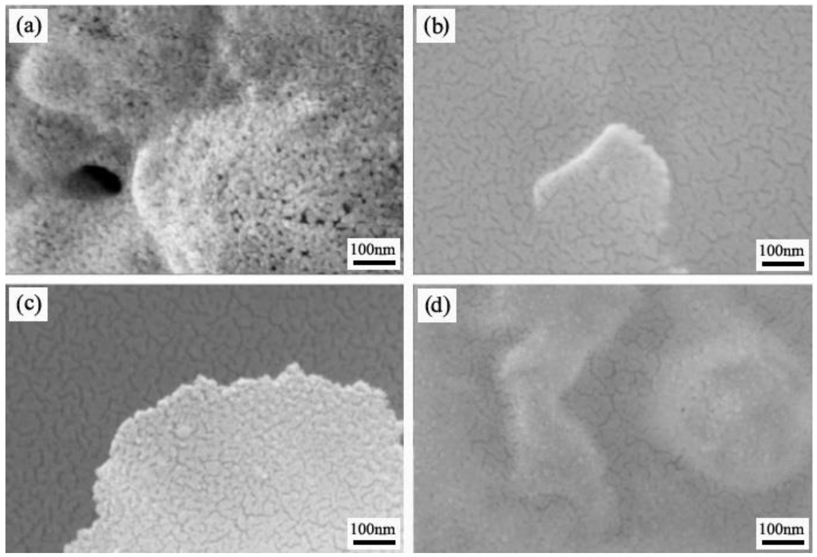 Materials 14 04963 g005