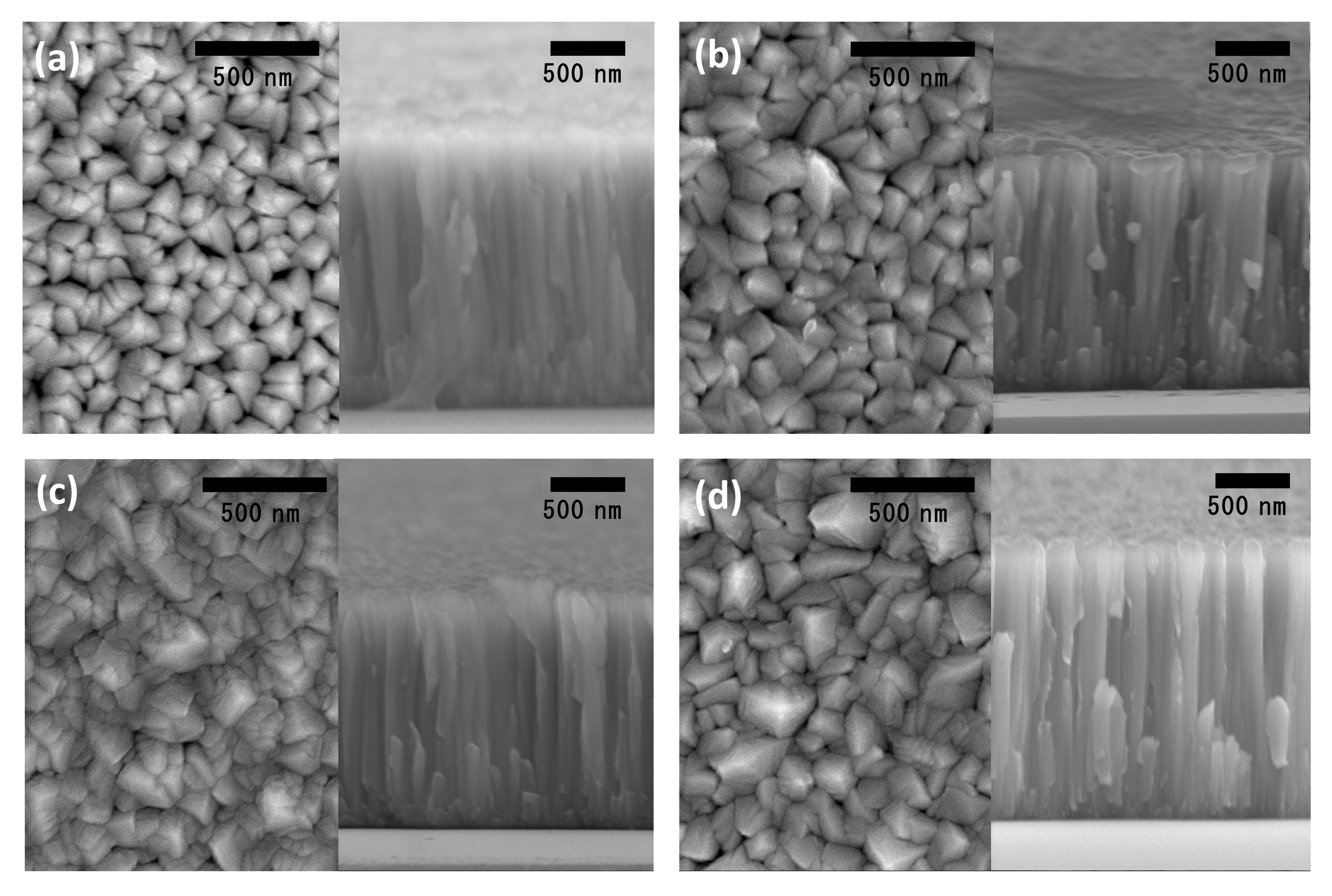 Materials 14 04972 g003
