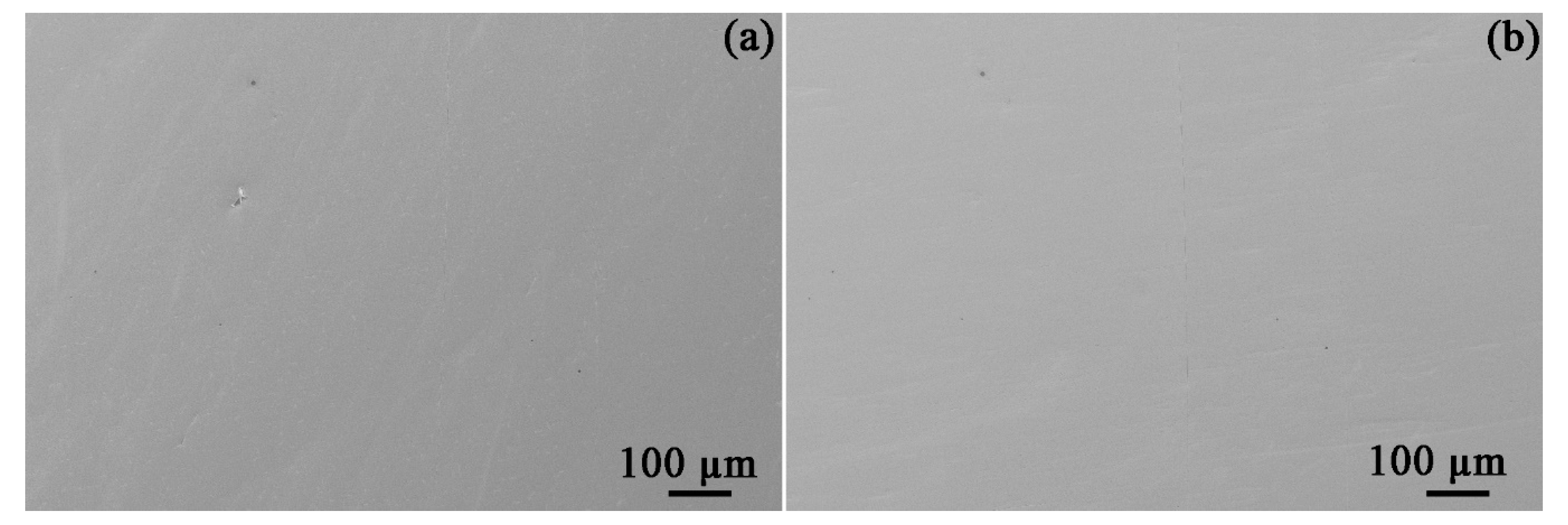 Materials 14 05007 g004