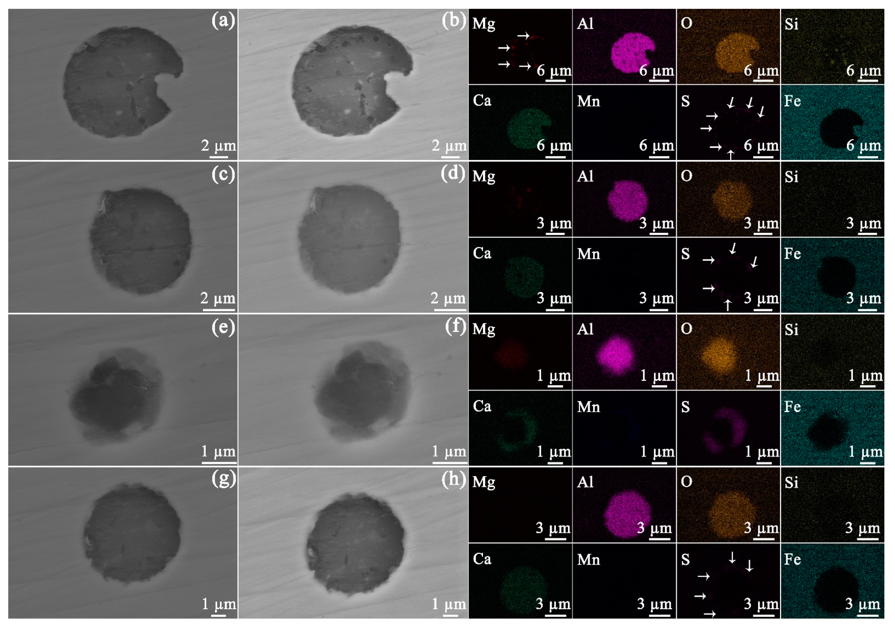 Materials 14 05007 g005