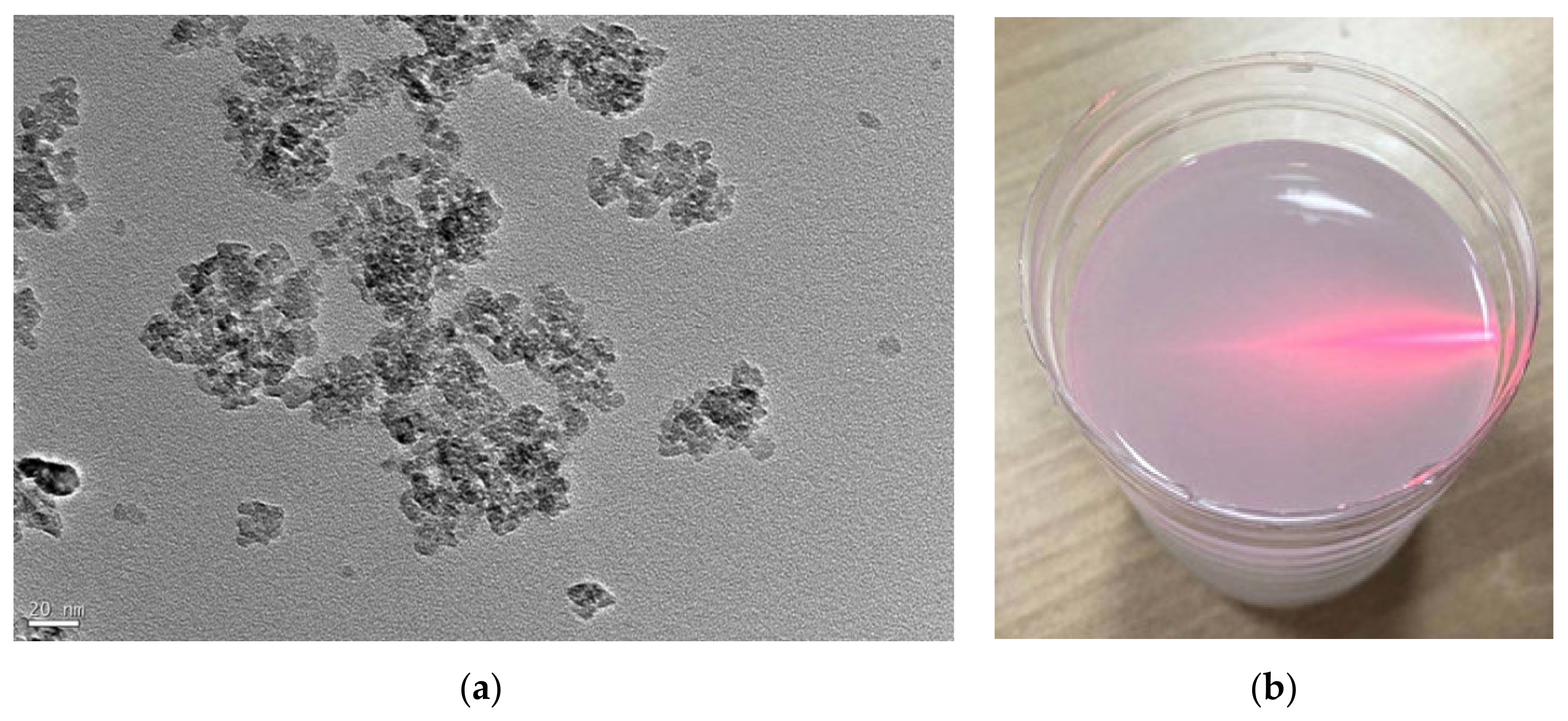 Materials 14 05014 g002